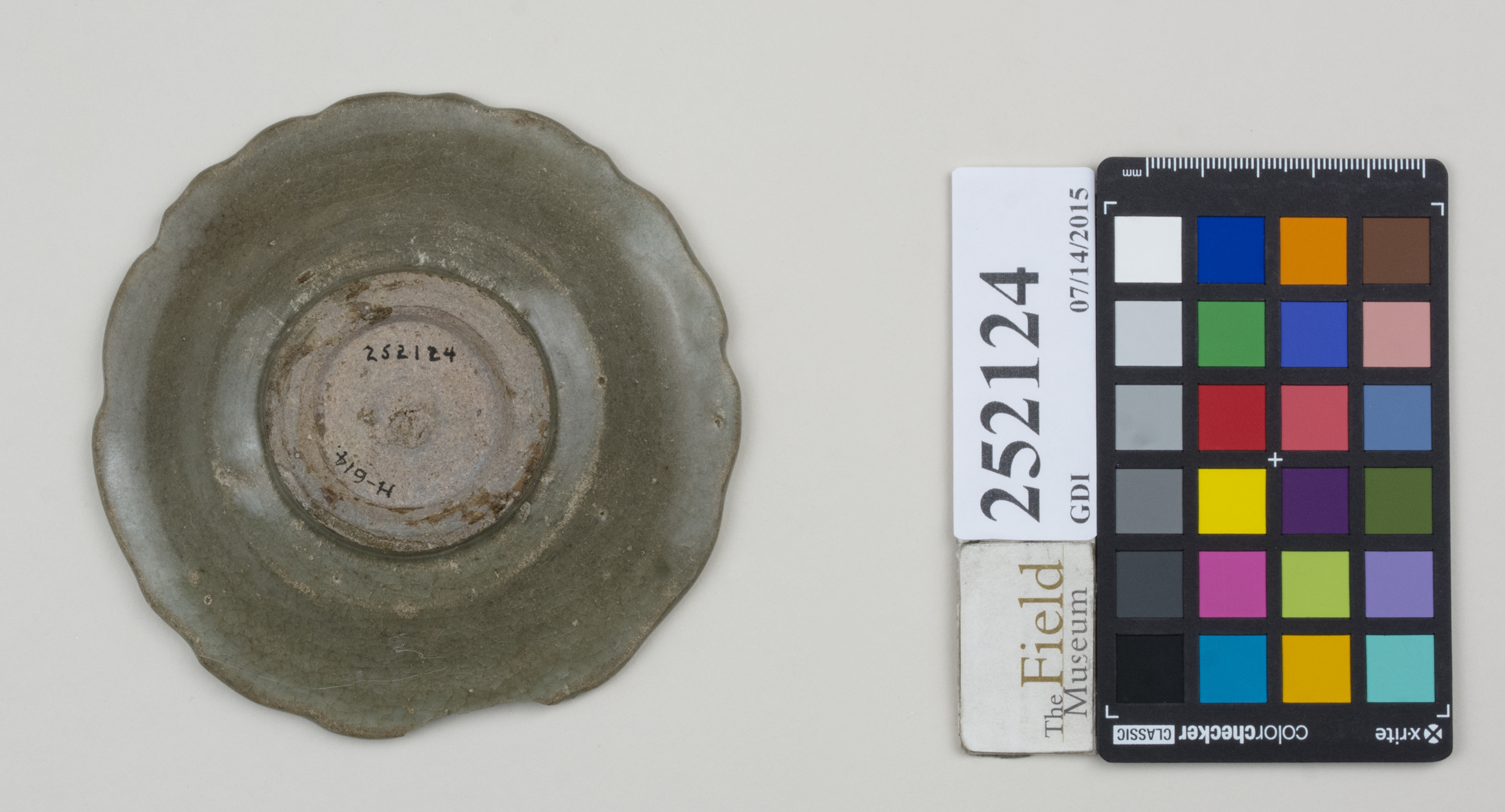 Bottom (c) Field Museum of Natural History - CC BY-NC 4.0