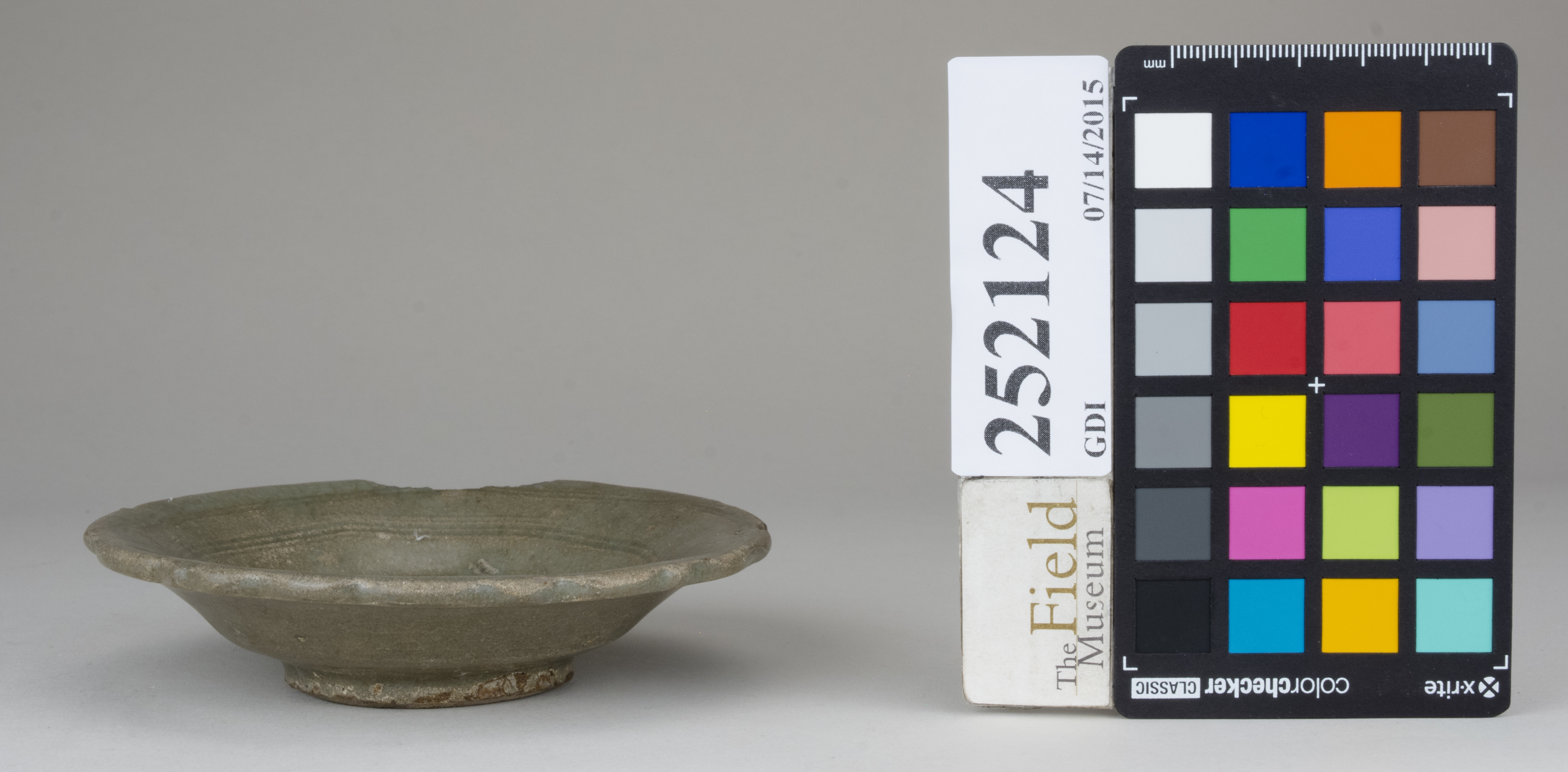 Front (c) Field Museum of Natural History - CC BY-NC 4.0