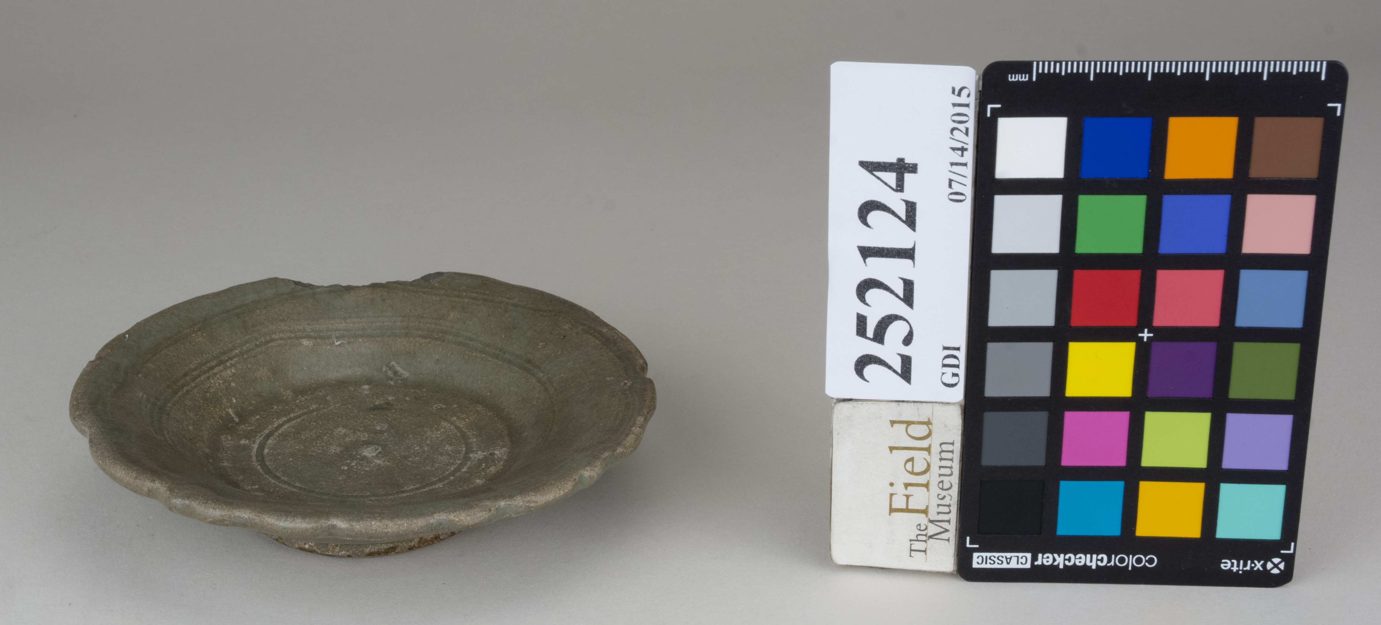 FrontAngle (c) Field Museum of Natural History - CC BY-NC 4.0