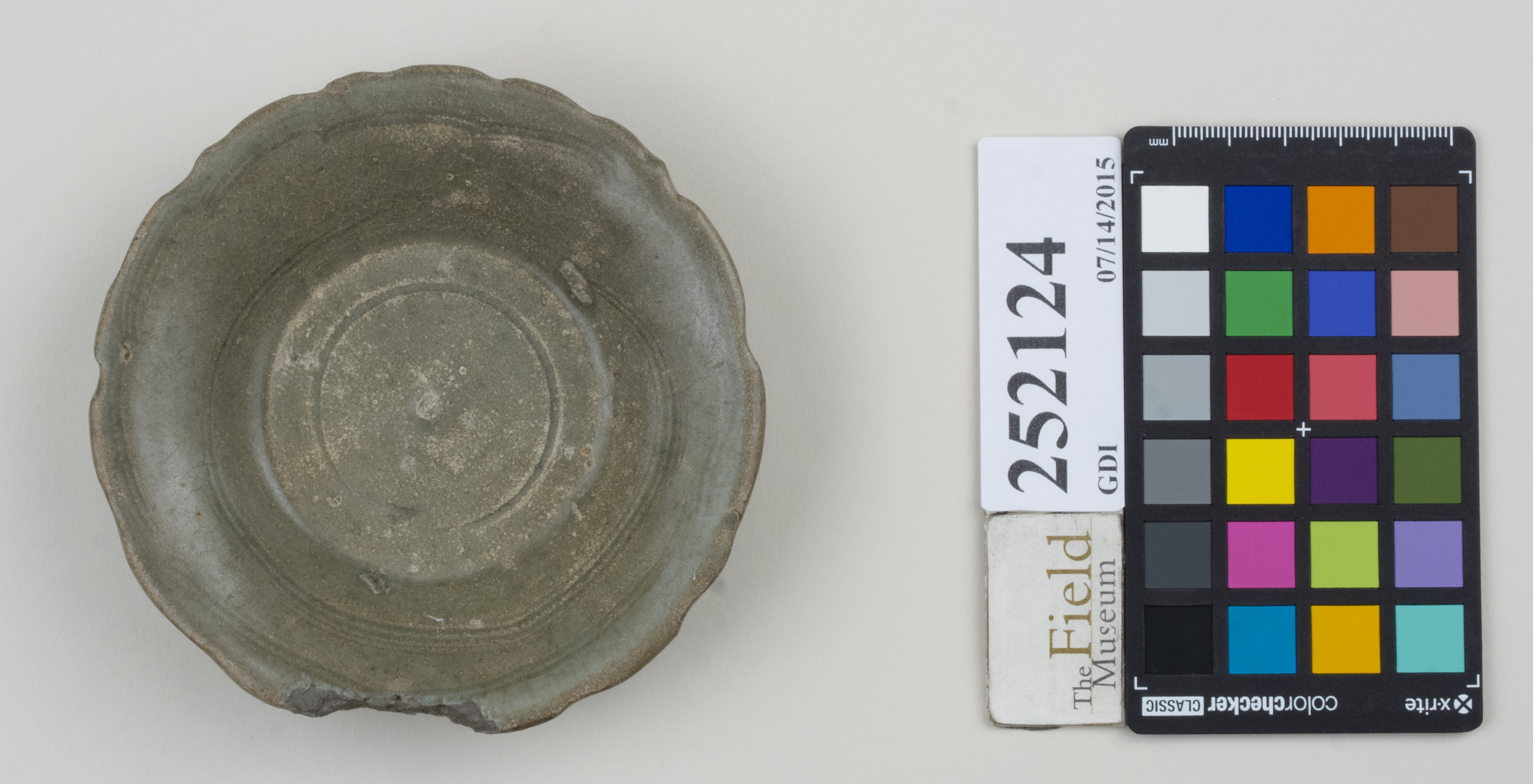 Top (c) Field Museum of Natural History - CC BY-NC 4.0