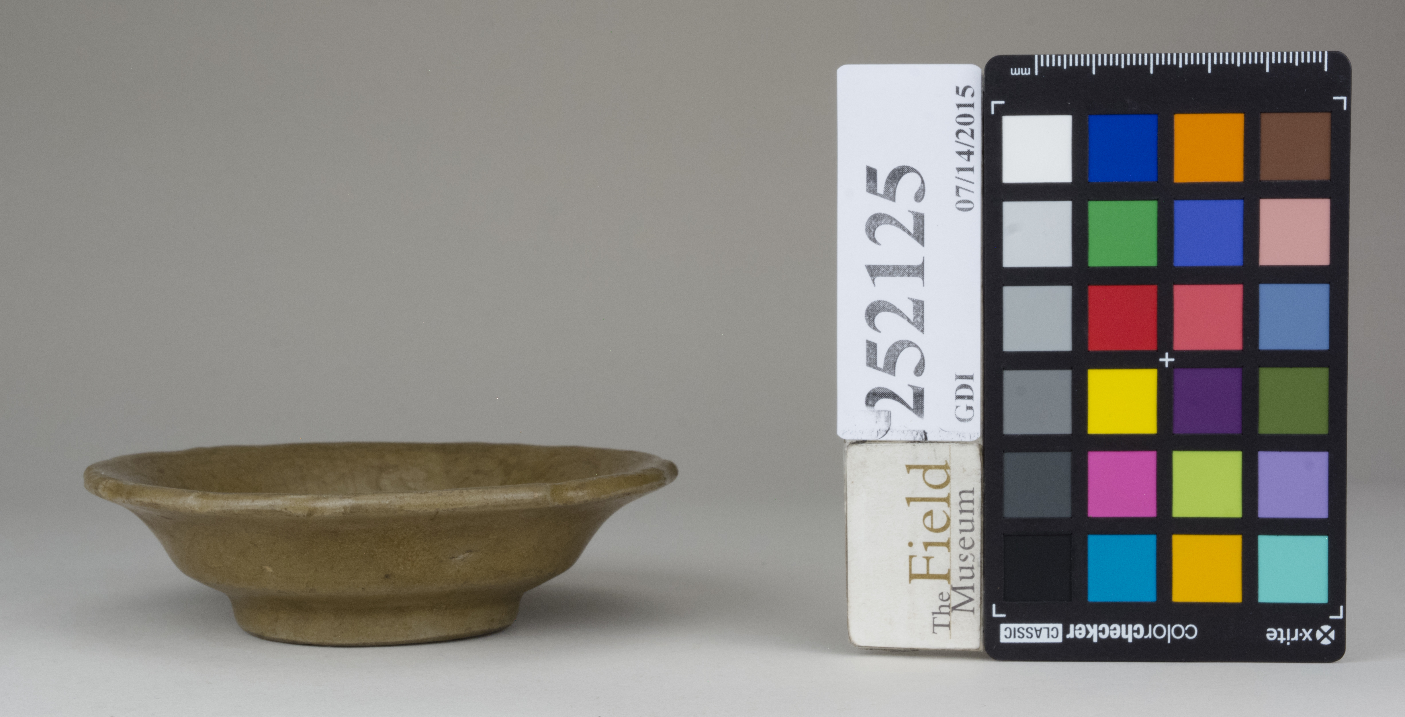 reference image, back (c) Field Museum of Natural History - CC BY-NC 4.0