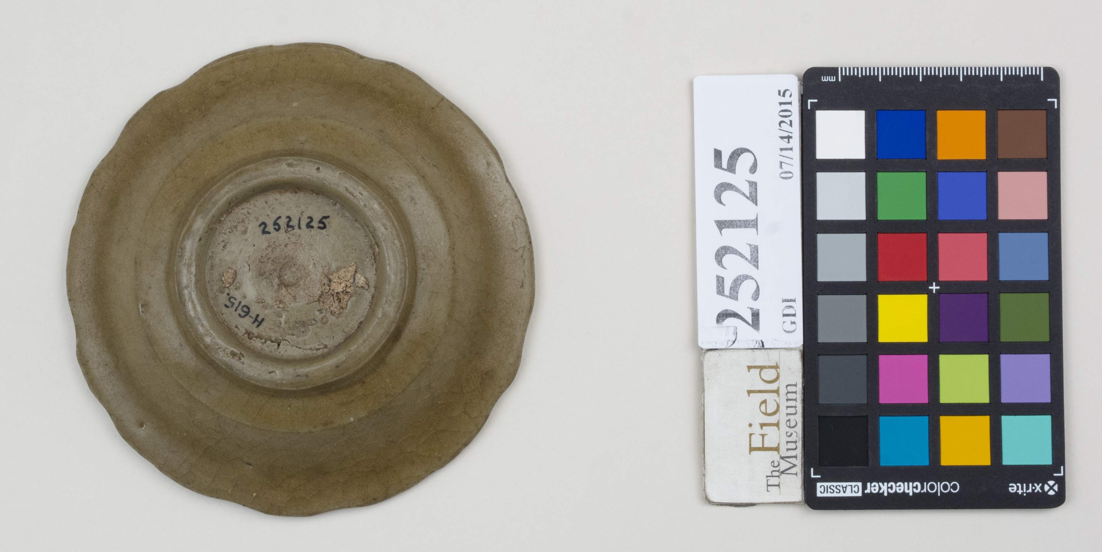 Bottom (c) Field Museum of Natural History - CC BY-NC 4.0