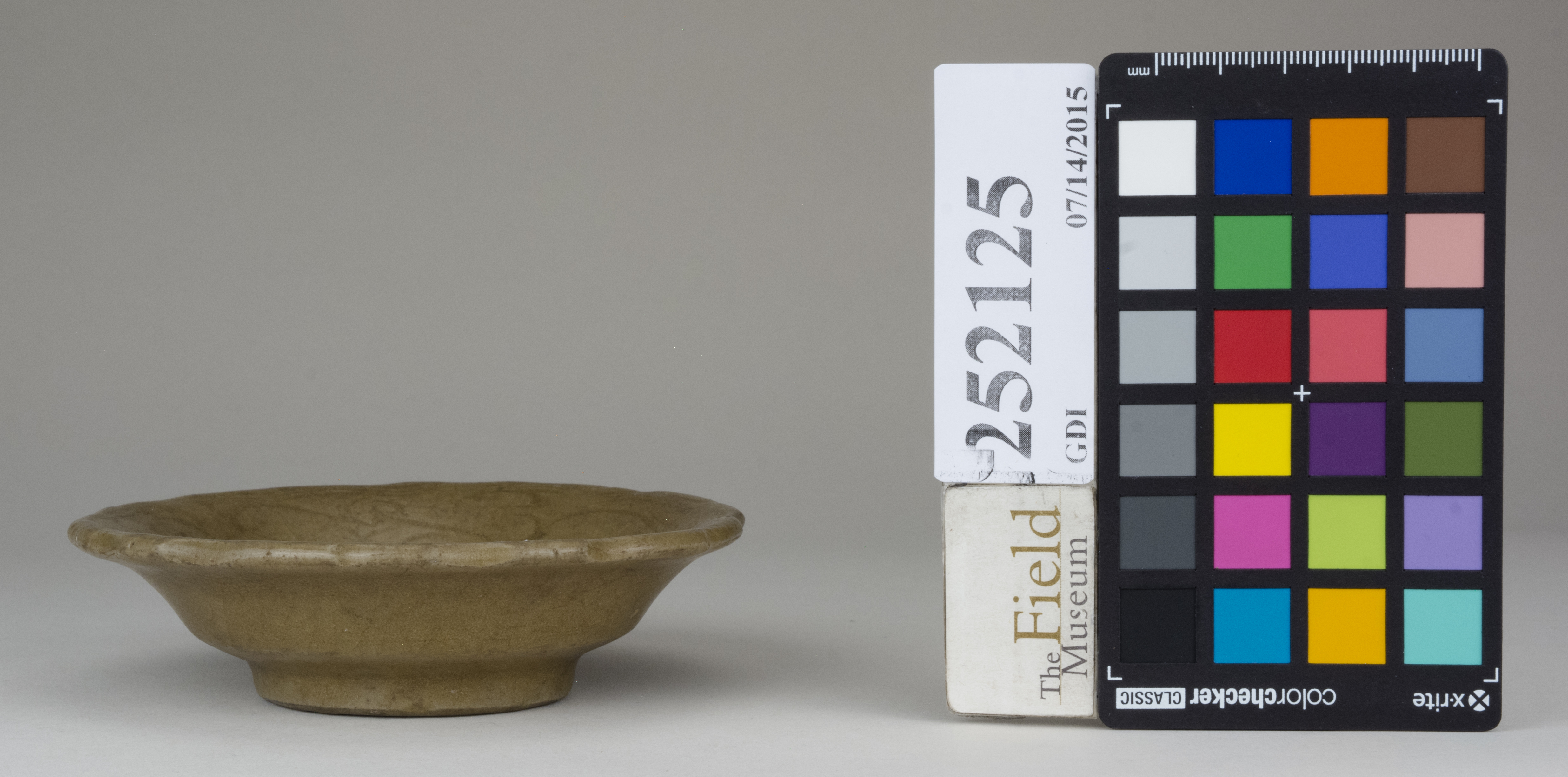 Left (c) Field Museum of Natural History - CC BY-NC 4.0