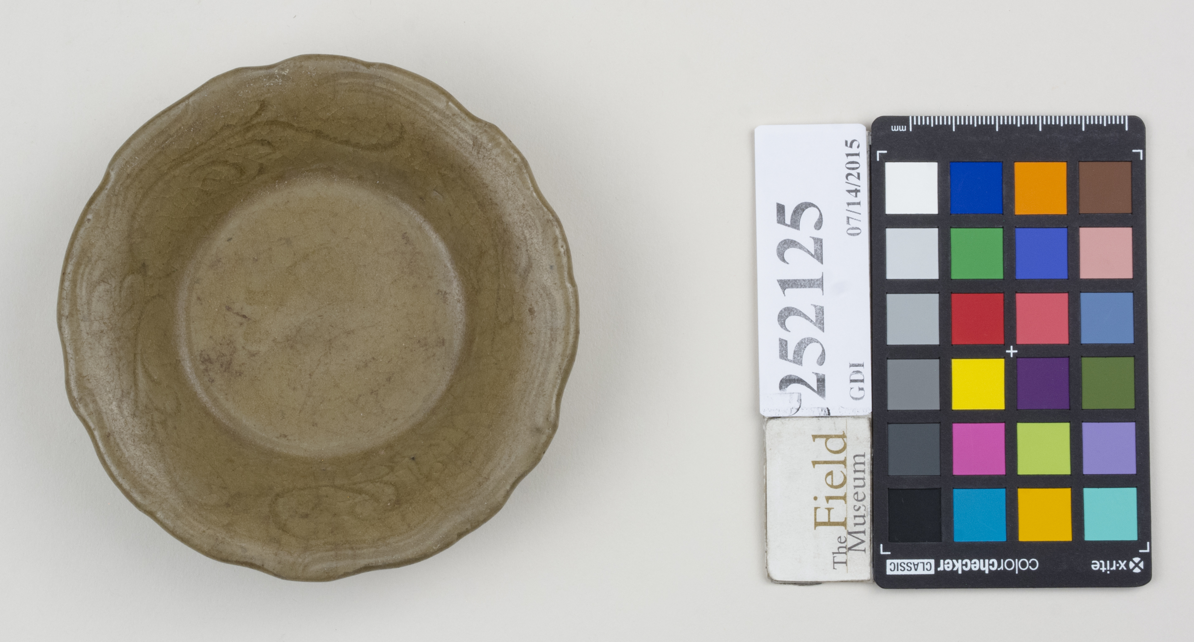 Top (c) Field Museum of Natural History - CC BY-NC 4.0