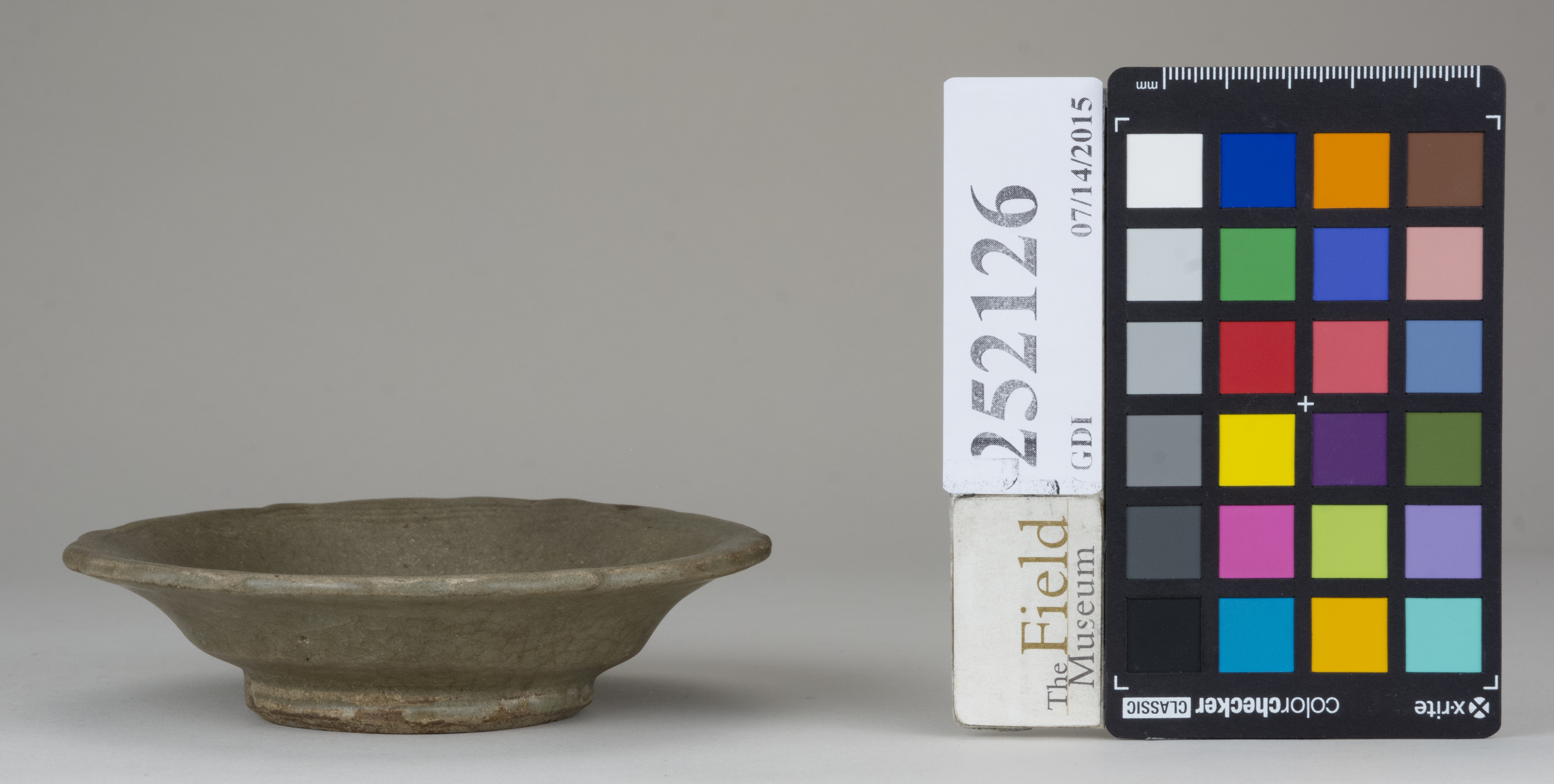 Front (c) Field Museum of Natural History - CC BY-NC 4.0