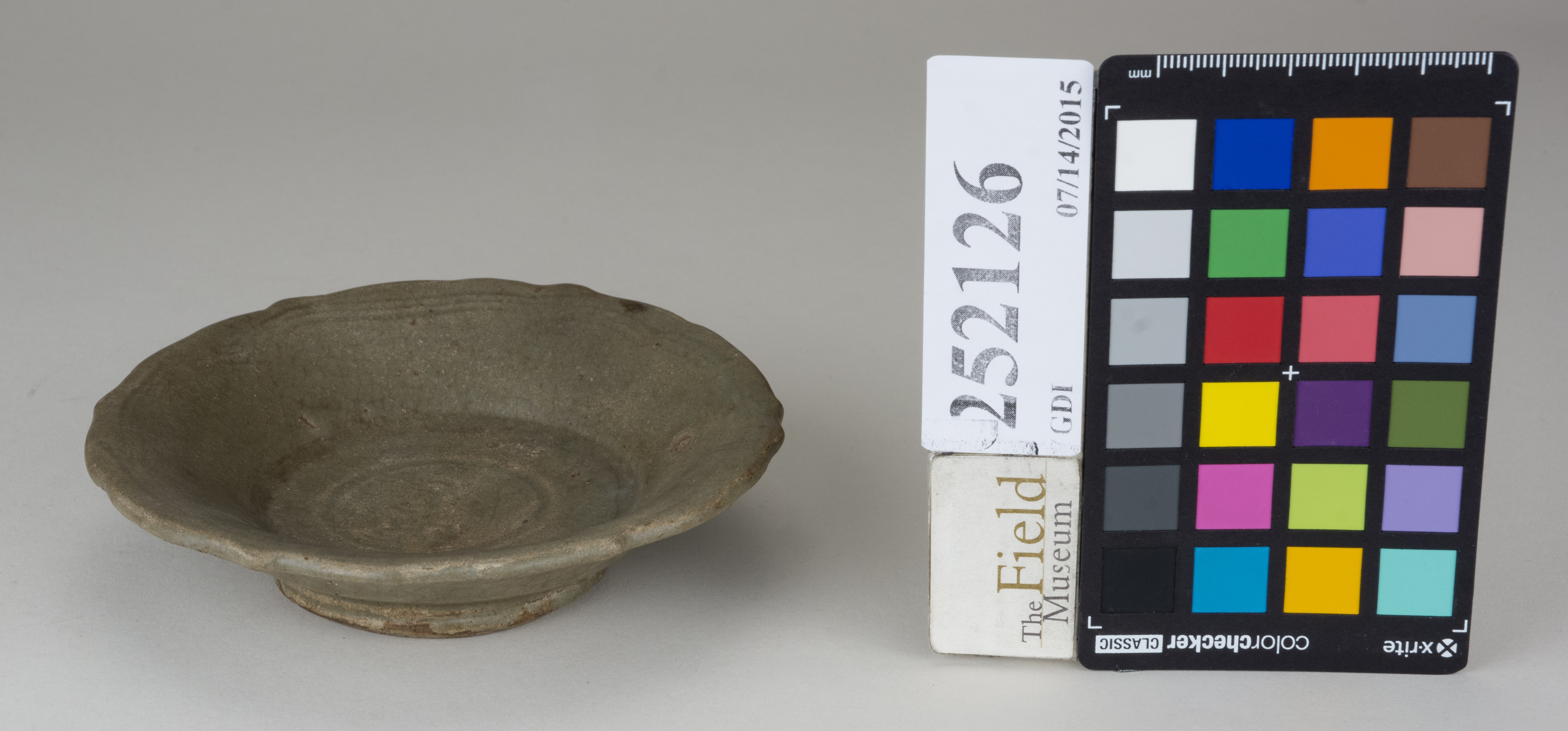 FrontAngle (c) Field Museum of Natural History - CC BY-NC 4.0