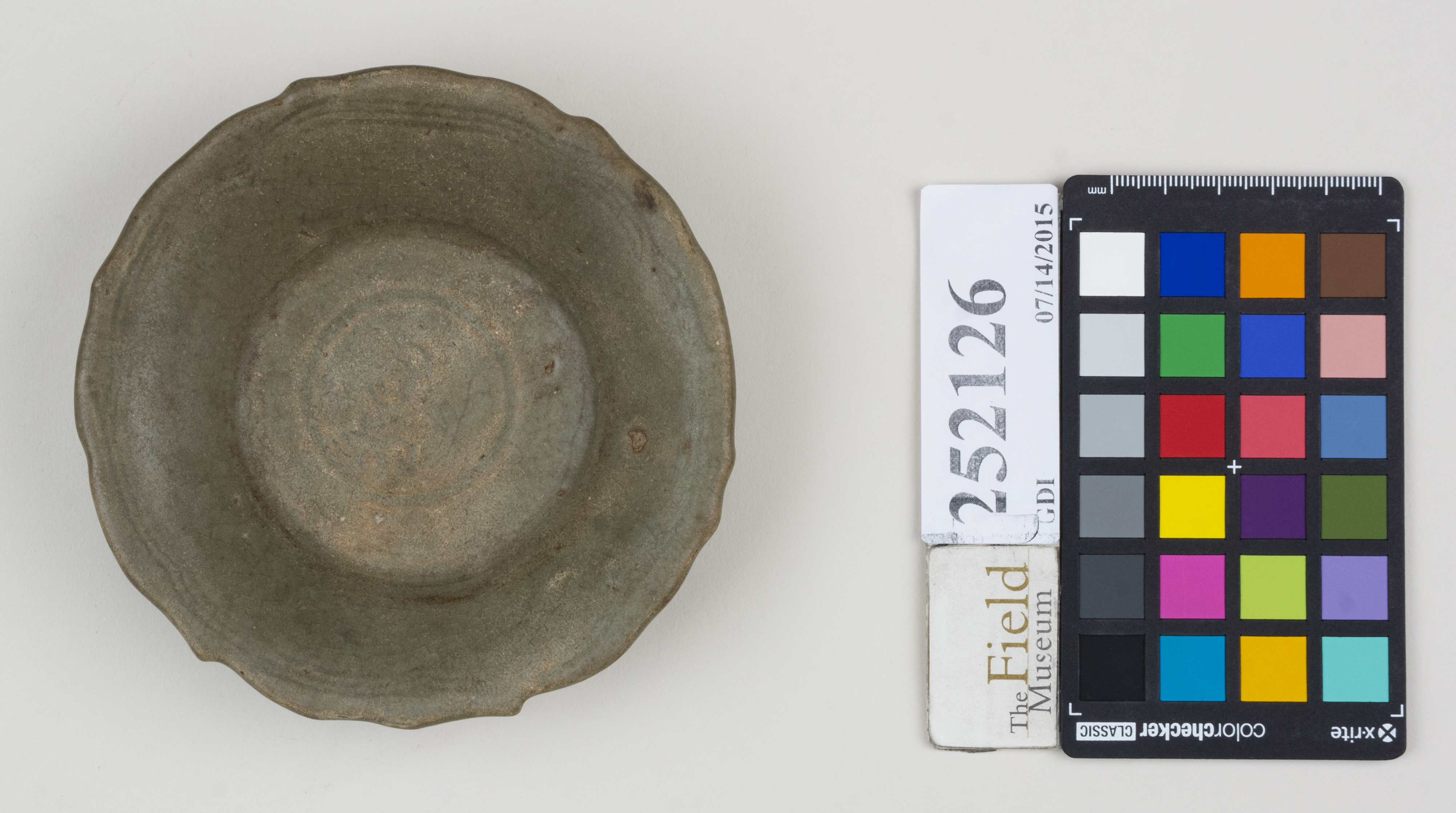 Top (c) Field Museum of Natural History - CC BY-NC 4.0