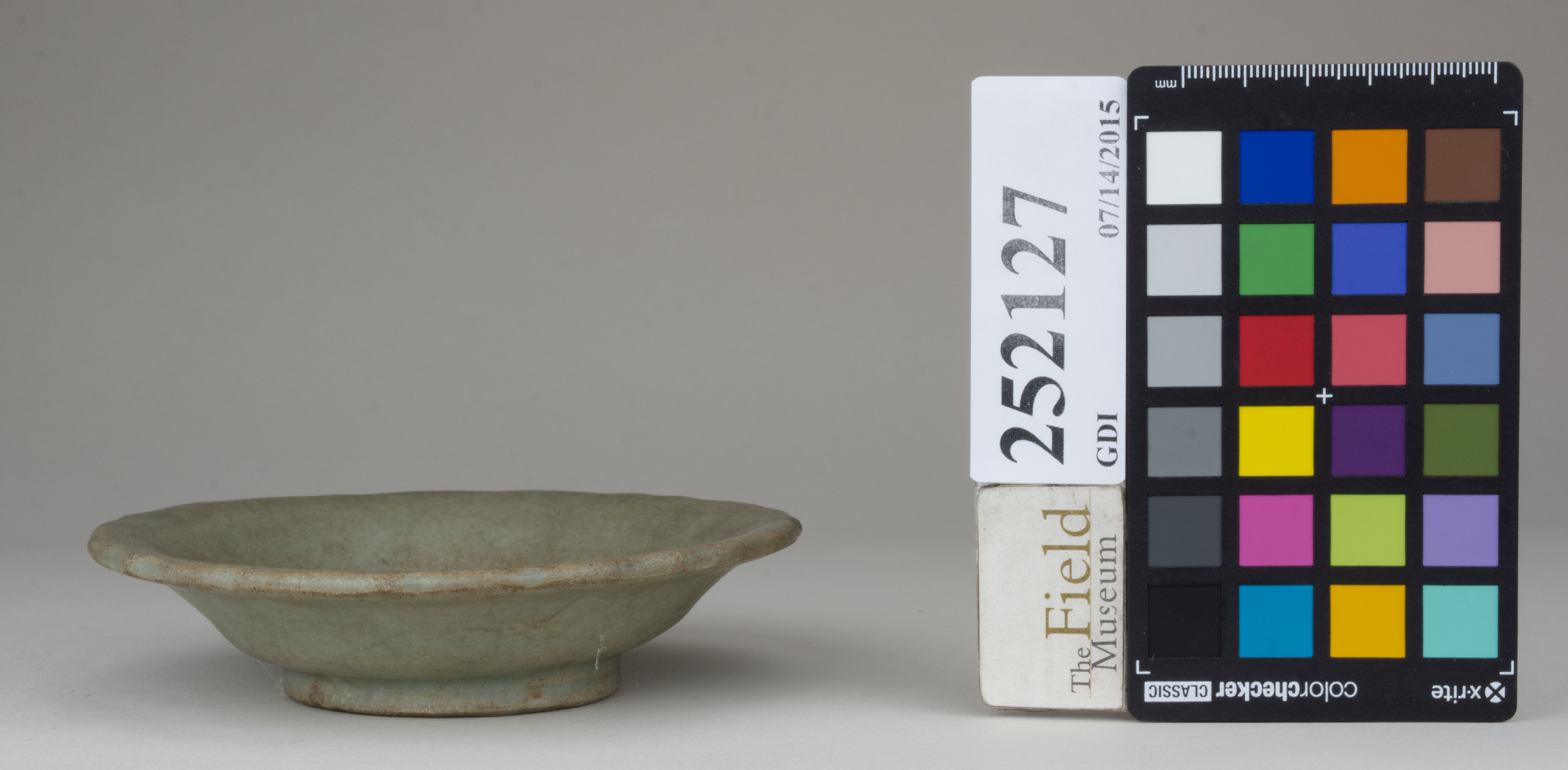 Front (c) Field Museum of Natural History - CC BY-NC 4.0