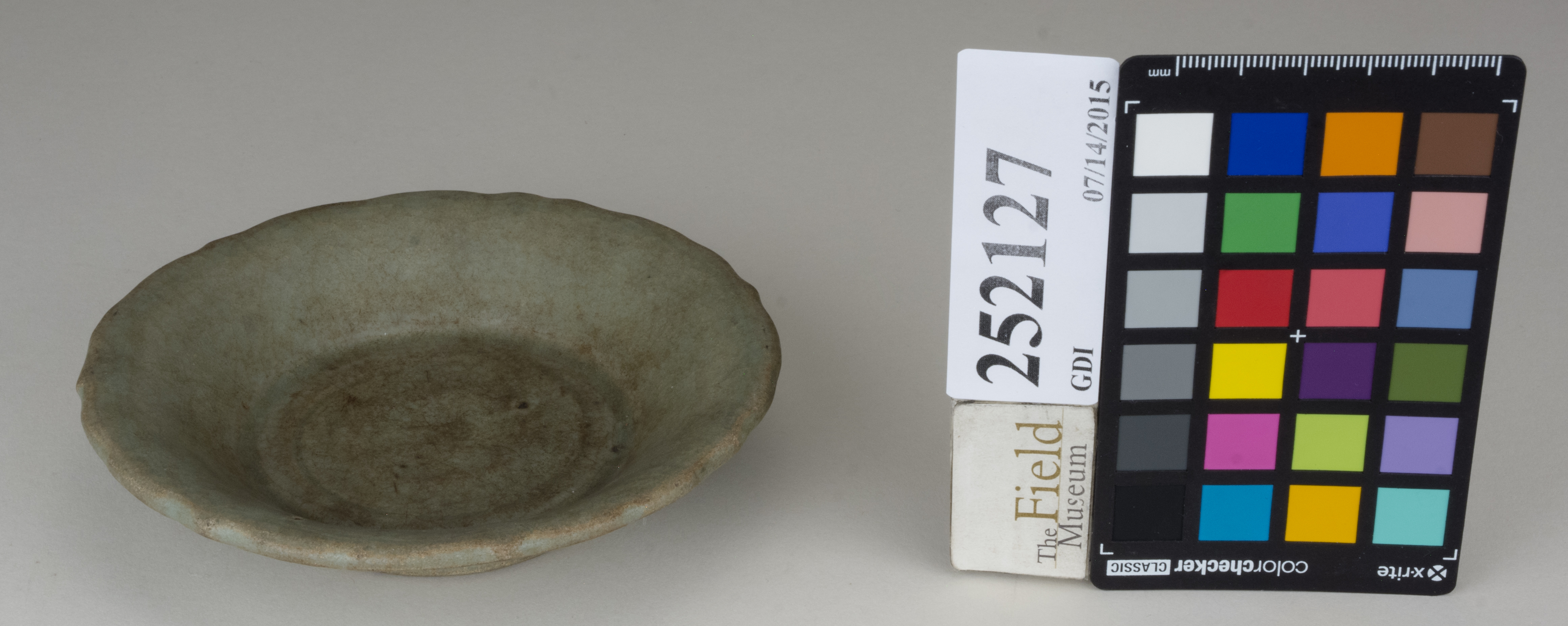 FrontAngle (c) Field Museum of Natural History - CC BY-NC 4.0