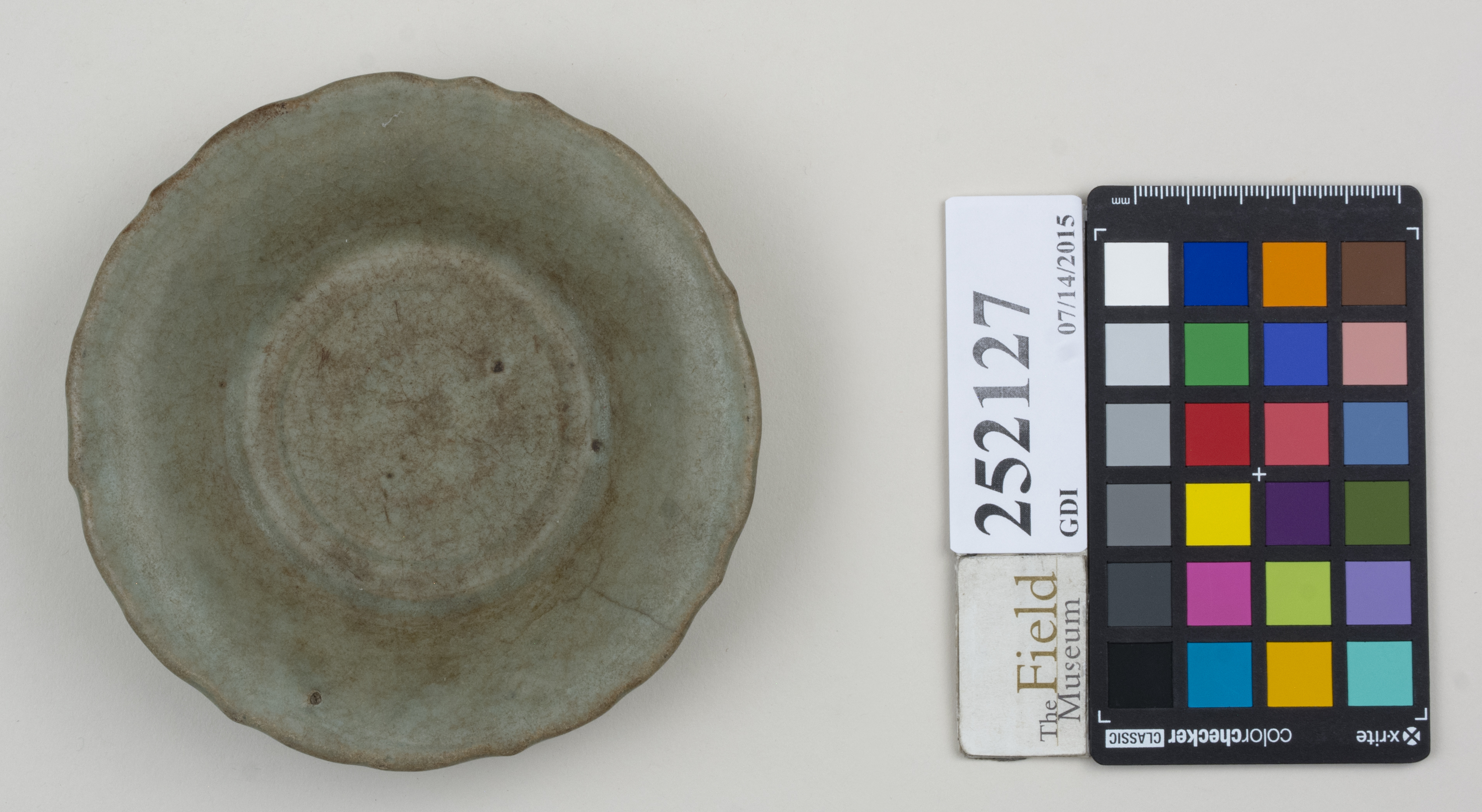 Top (c) Field Museum of Natural History - CC BY-NC 4.0