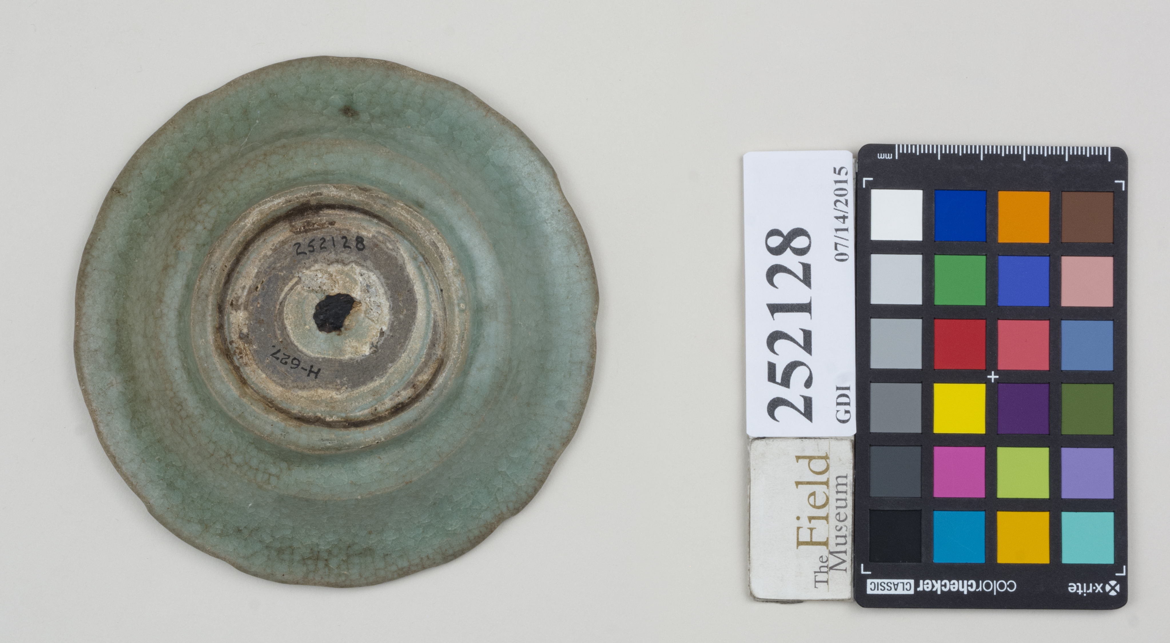 Bottom (c) Field Museum of Natural History - CC BY-NC 4.0