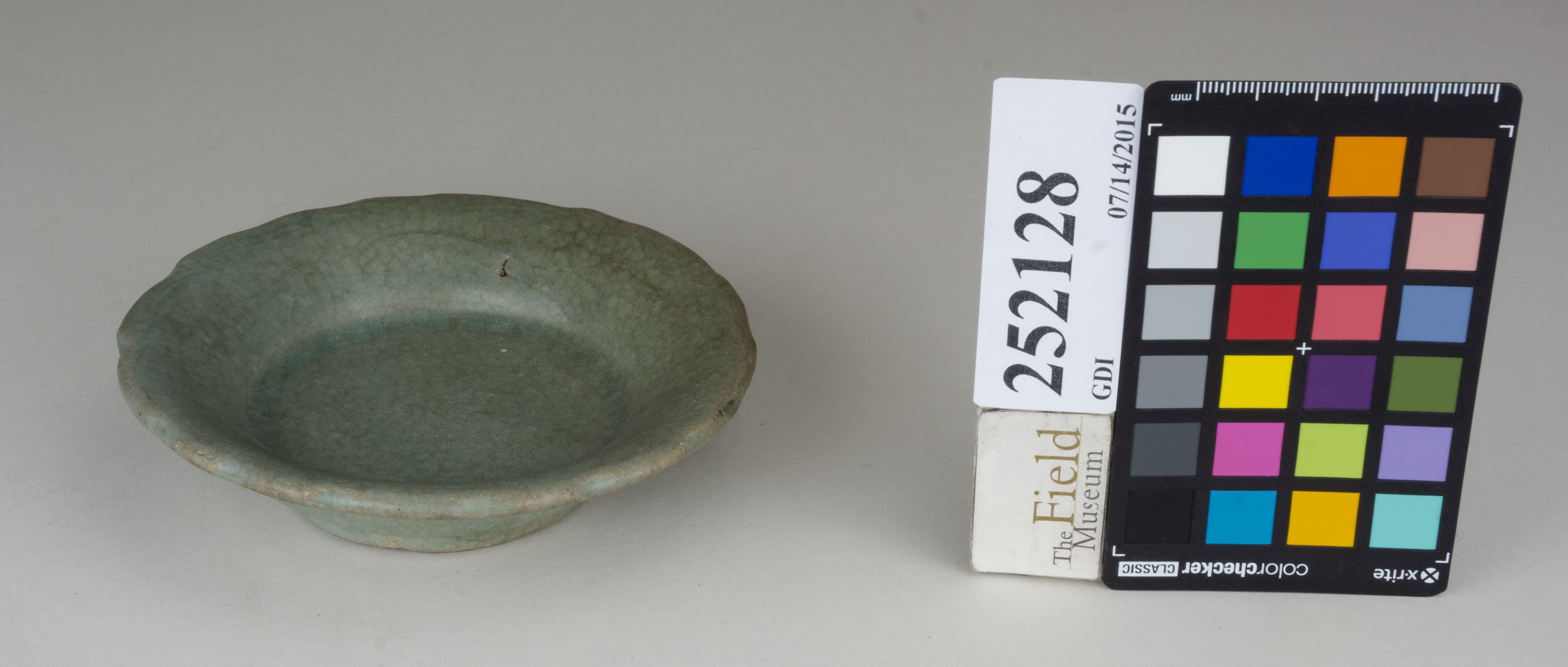 FrontAngle (c) Field Museum of Natural History - CC BY-NC 4.0