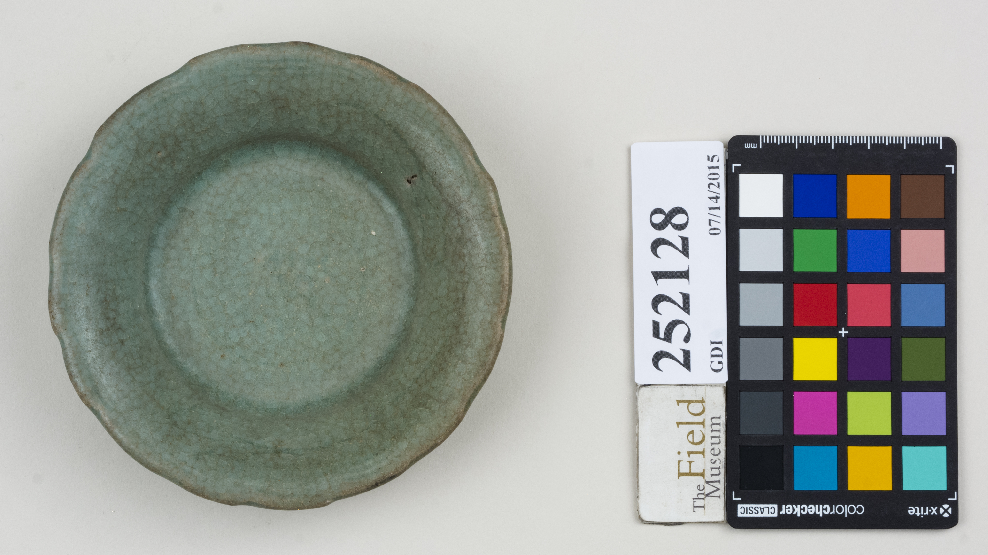 Top (c) Field Museum of Natural History - CC BY-NC 4.0