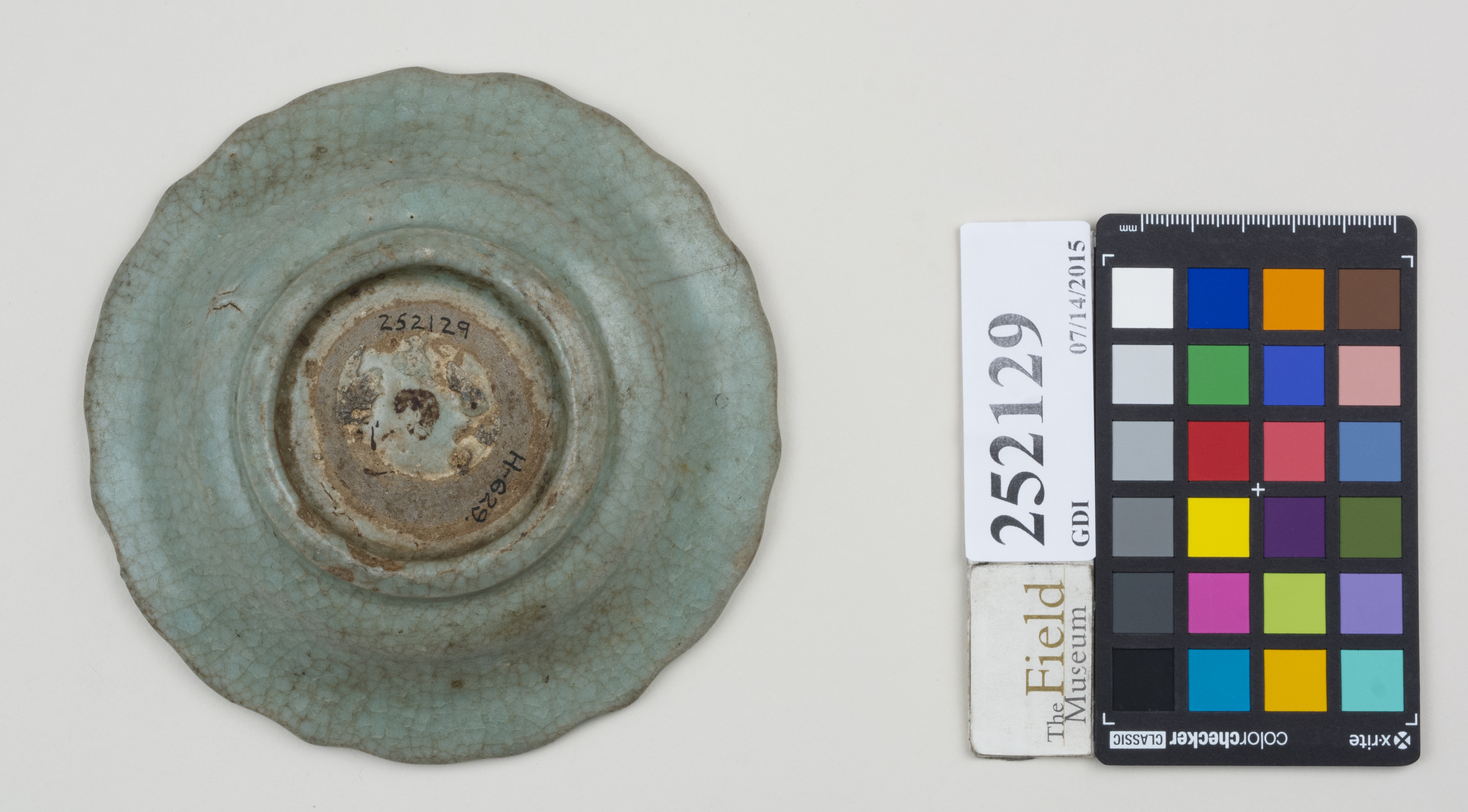 Bottom (c) Field Museum of Natural History - CC BY-NC 4.0