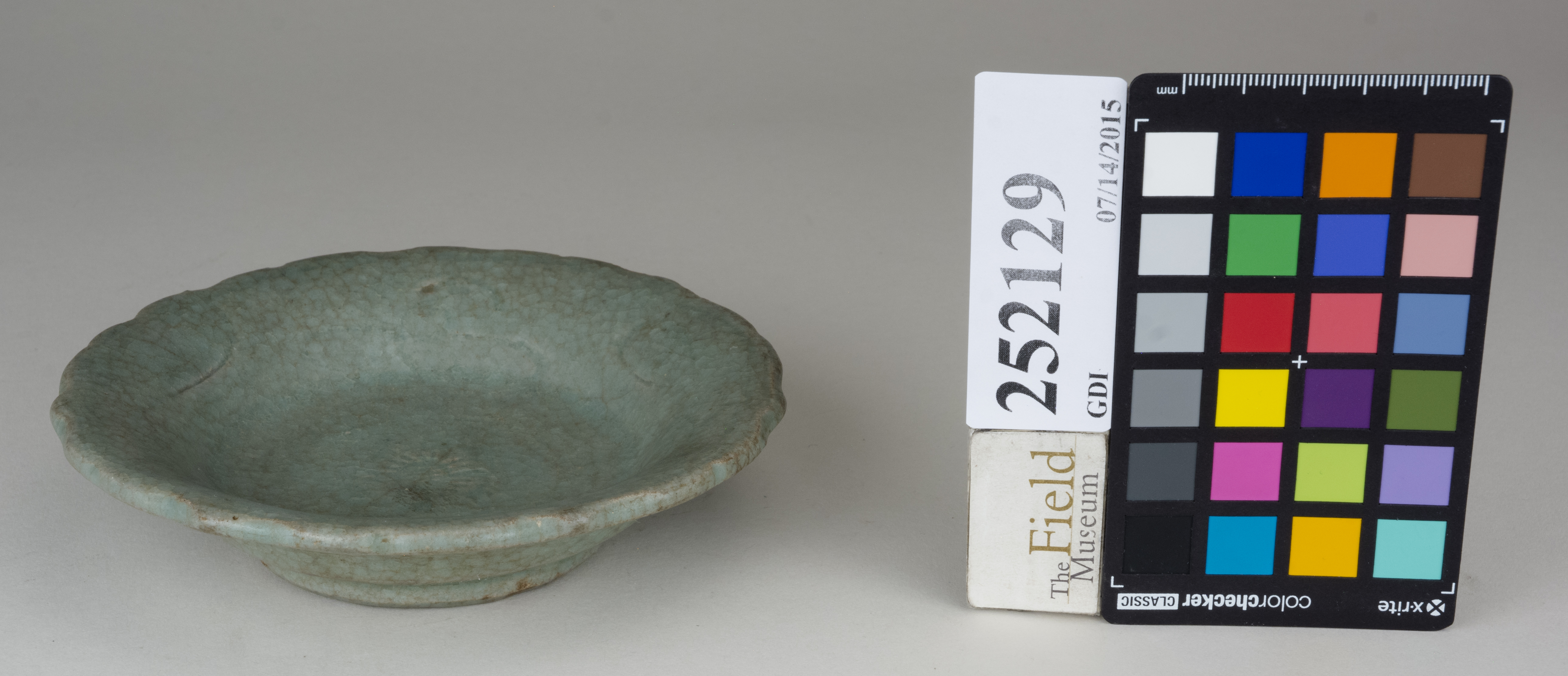 FrontAngle (c) Field Museum of Natural History - CC BY-NC 4.0