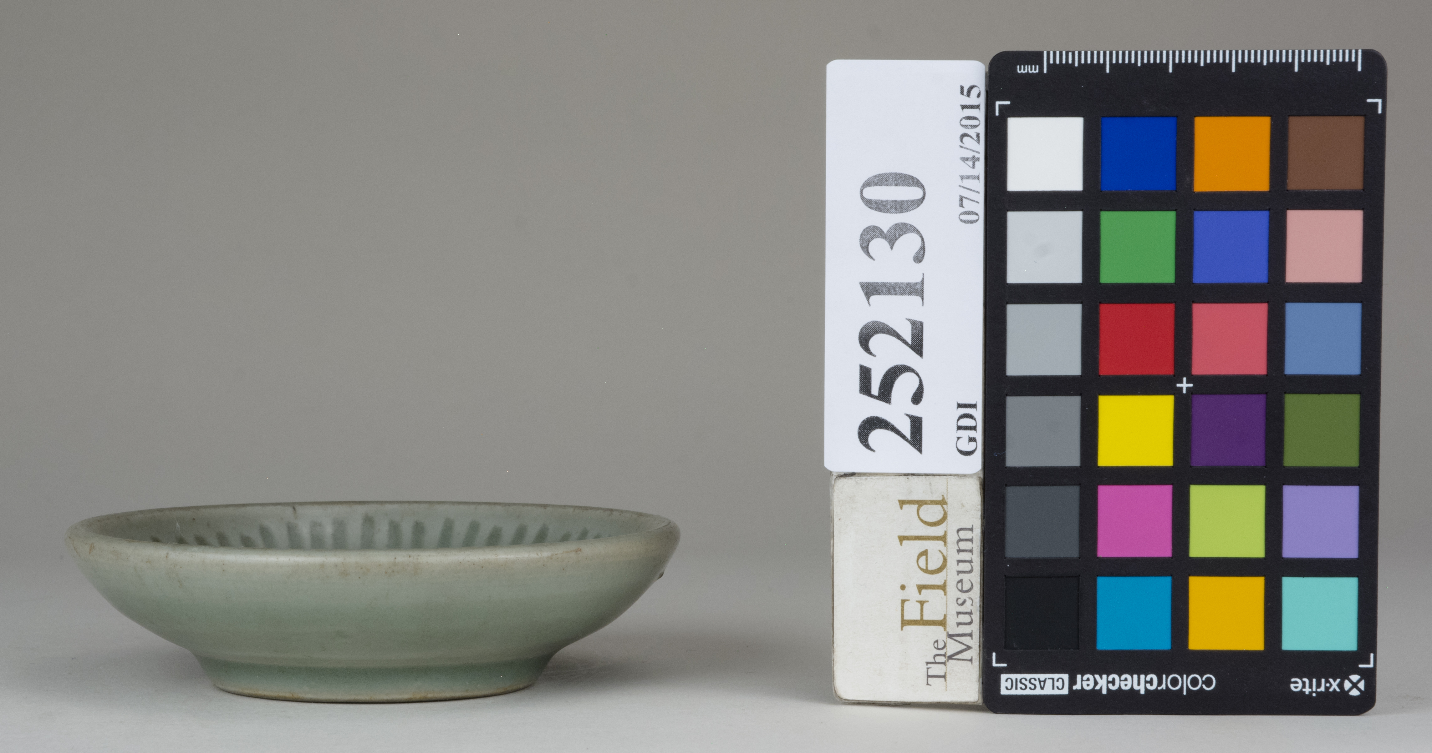 reference image, back (c) Field Museum of Natural History - CC BY-NC 4.0