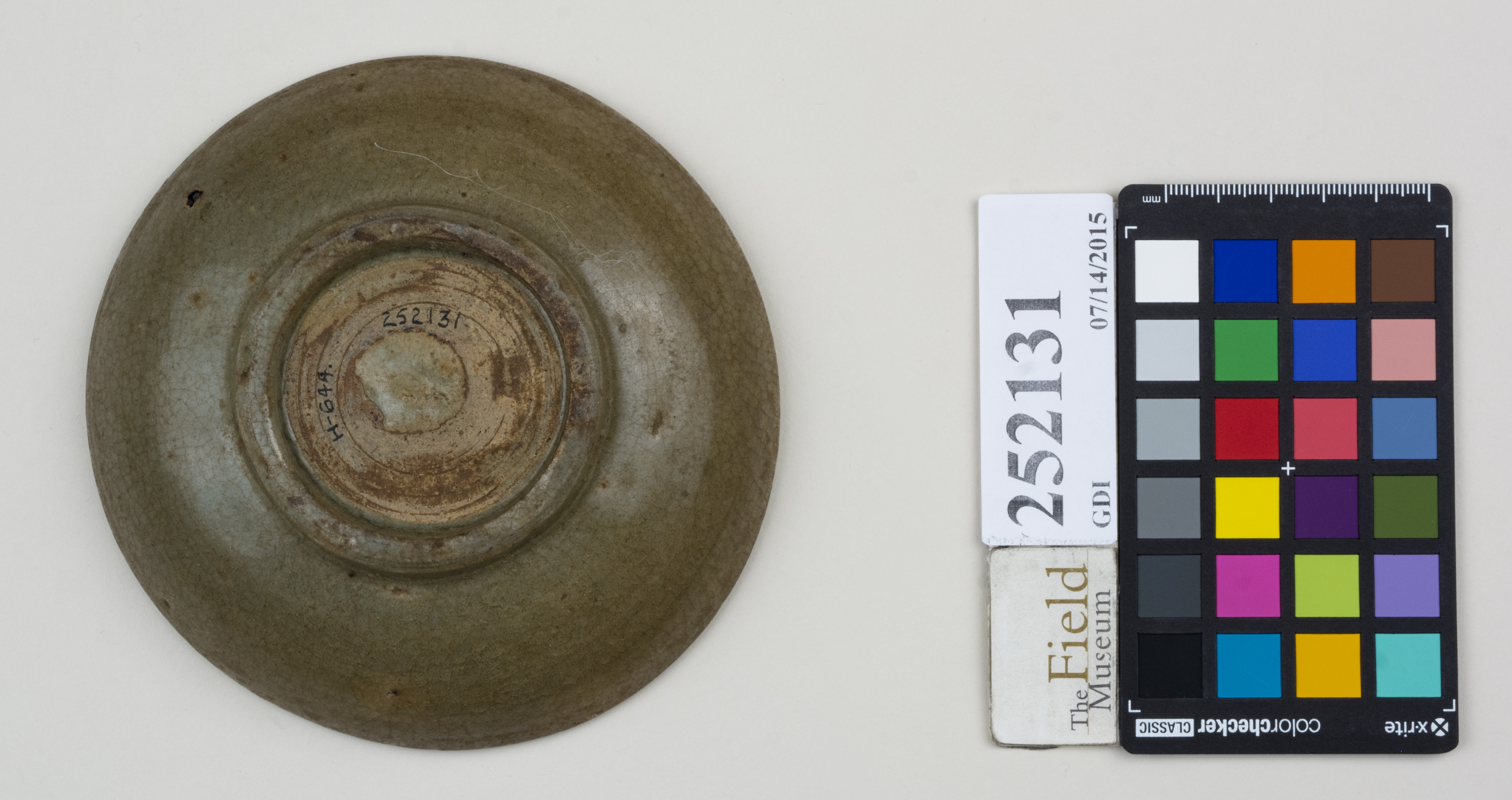 Bottom (c) Field Museum of Natural History - CC BY-NC 4.0