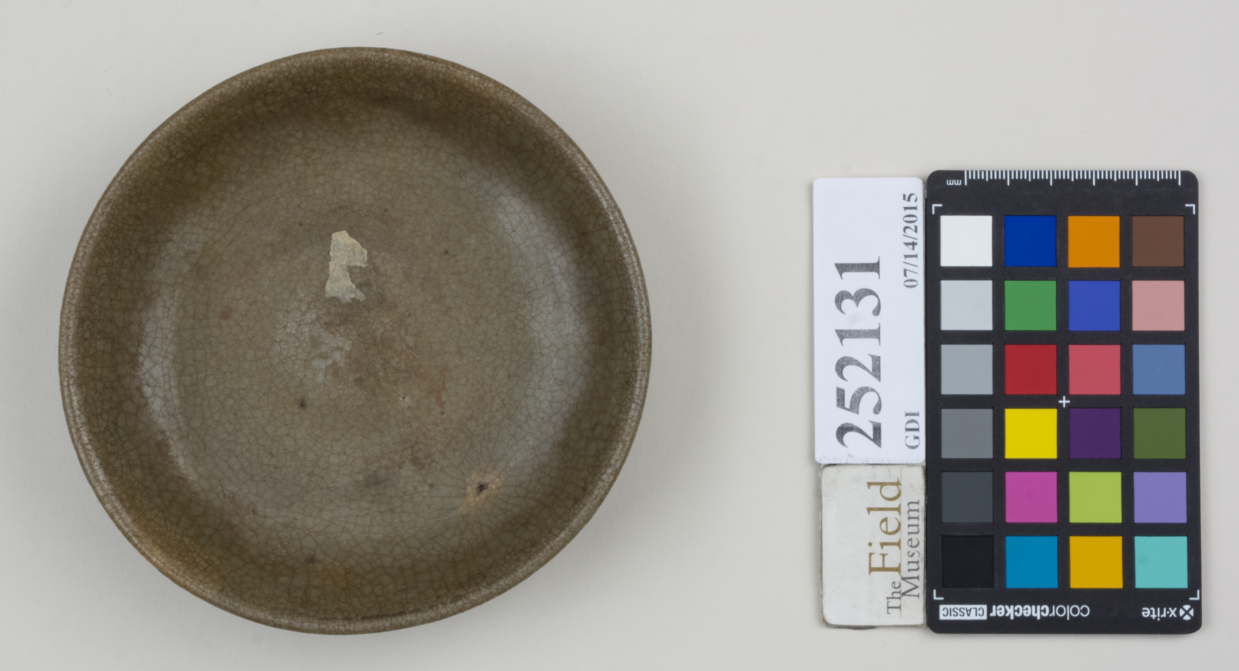 Top (c) Field Museum of Natural History - CC BY-NC 4.0