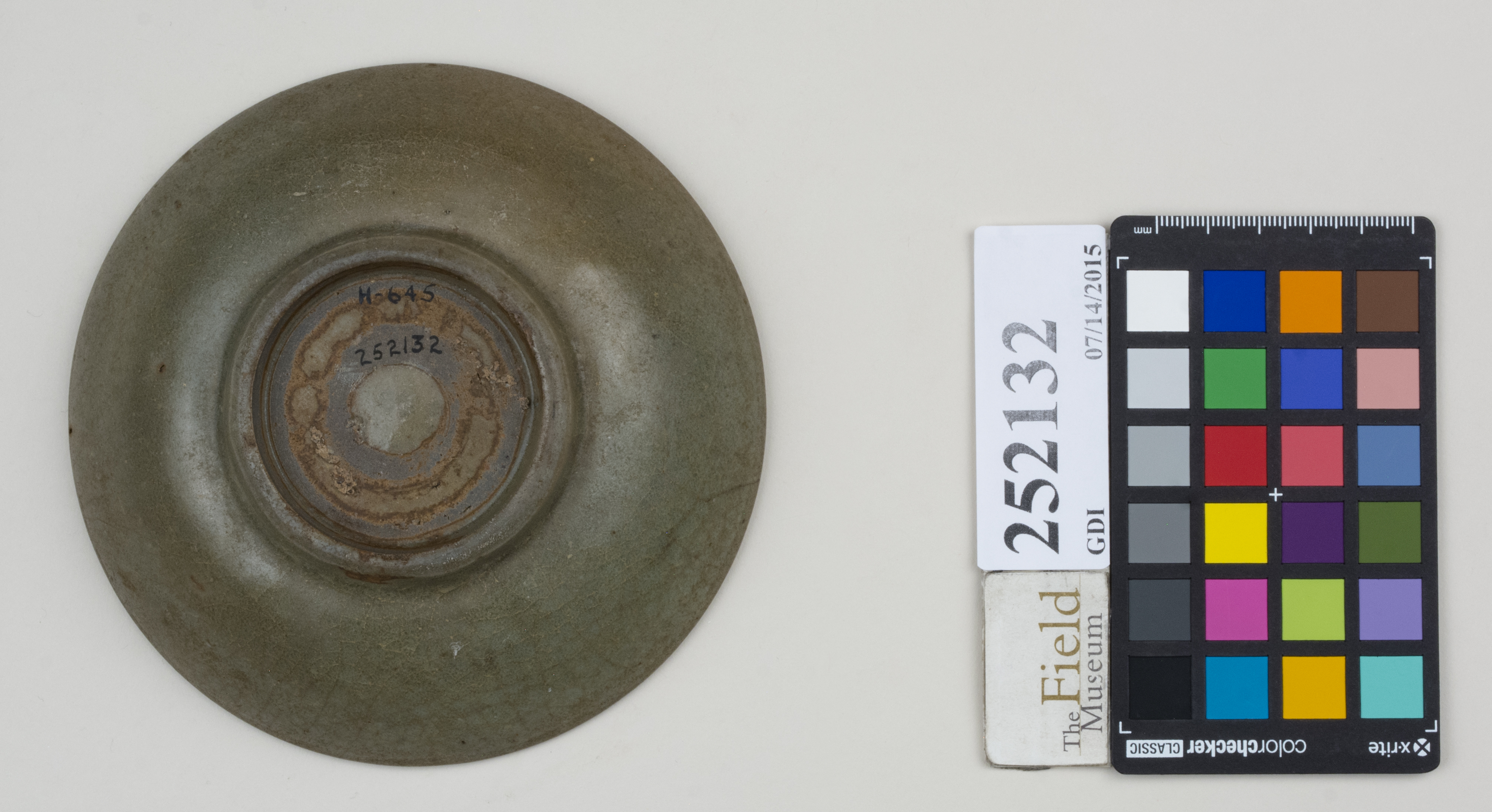 Bottom (c) Field Museum of Natural History - CC BY-NC 4.0