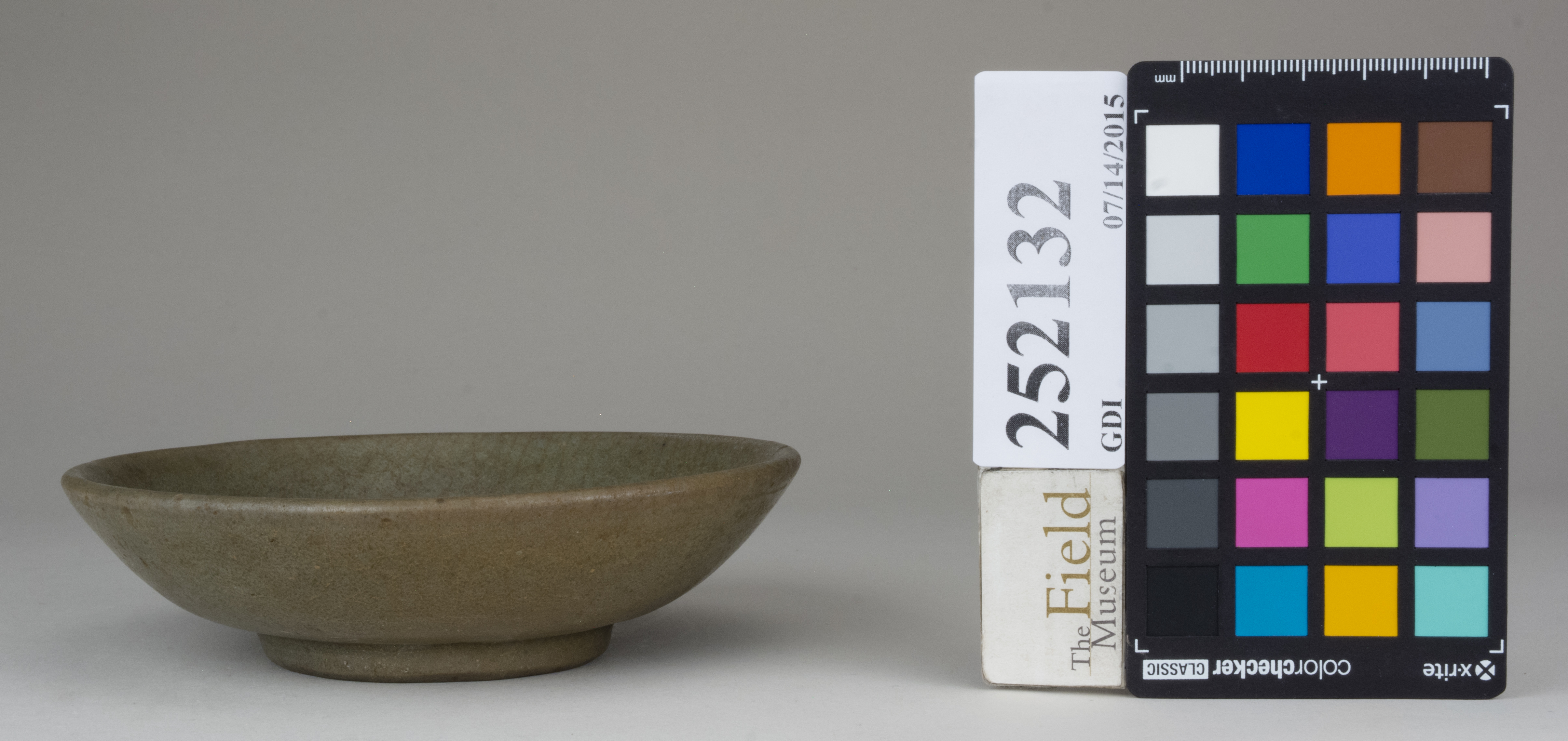 Front (c) Field Museum of Natural History - CC BY-NC 4.0