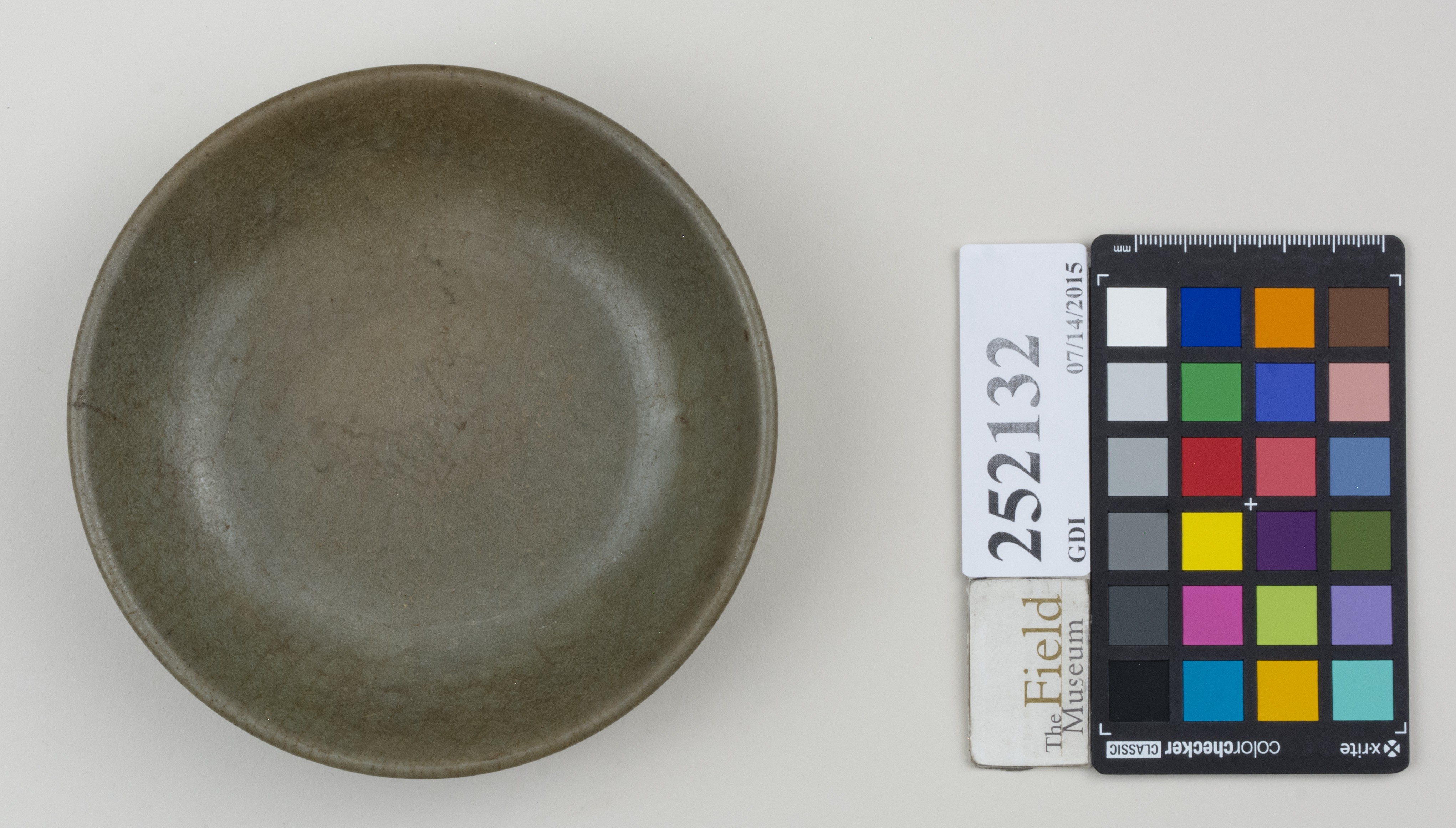 Top (c) Field Museum of Natural History - CC BY-NC 4.0