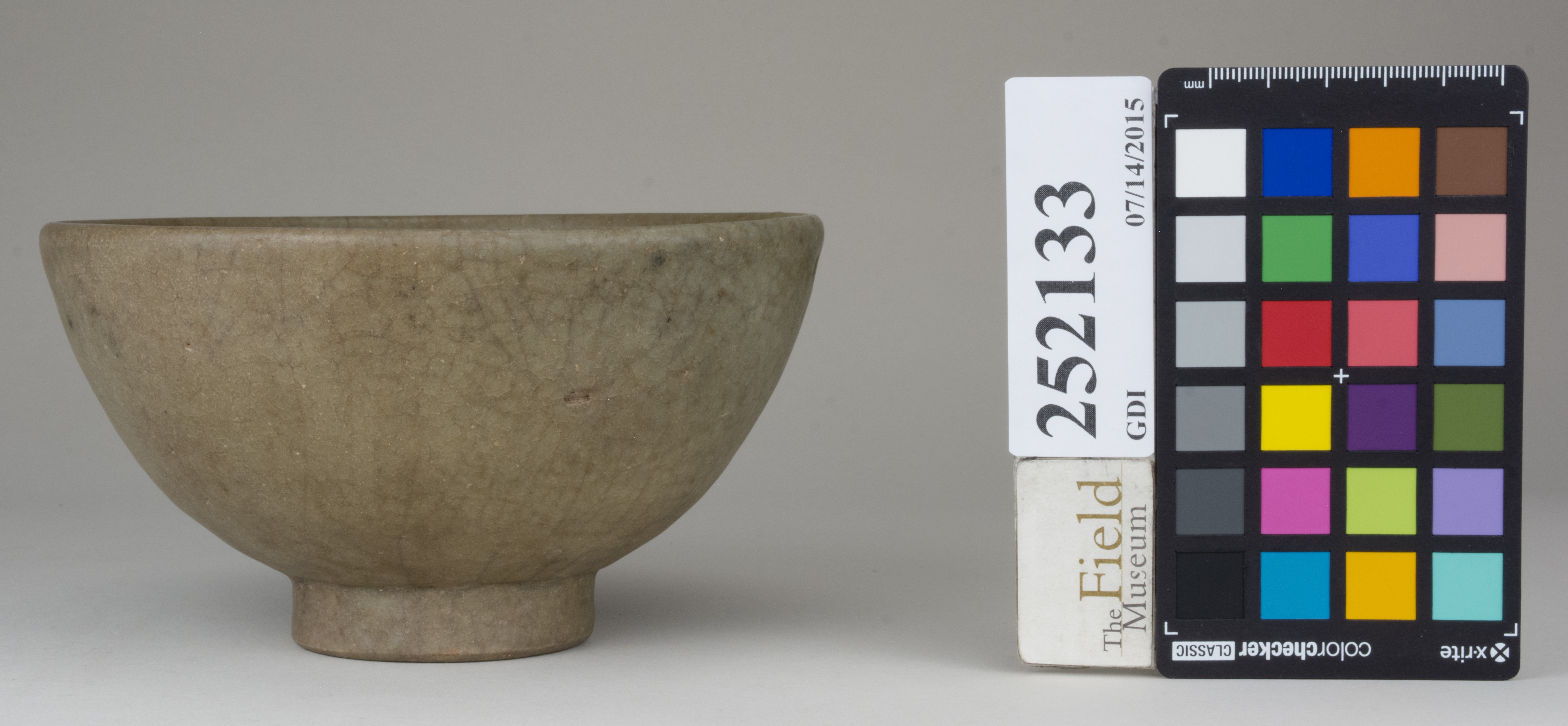 reference image, back (c) Field Museum of Natural History - CC BY-NC 4.0