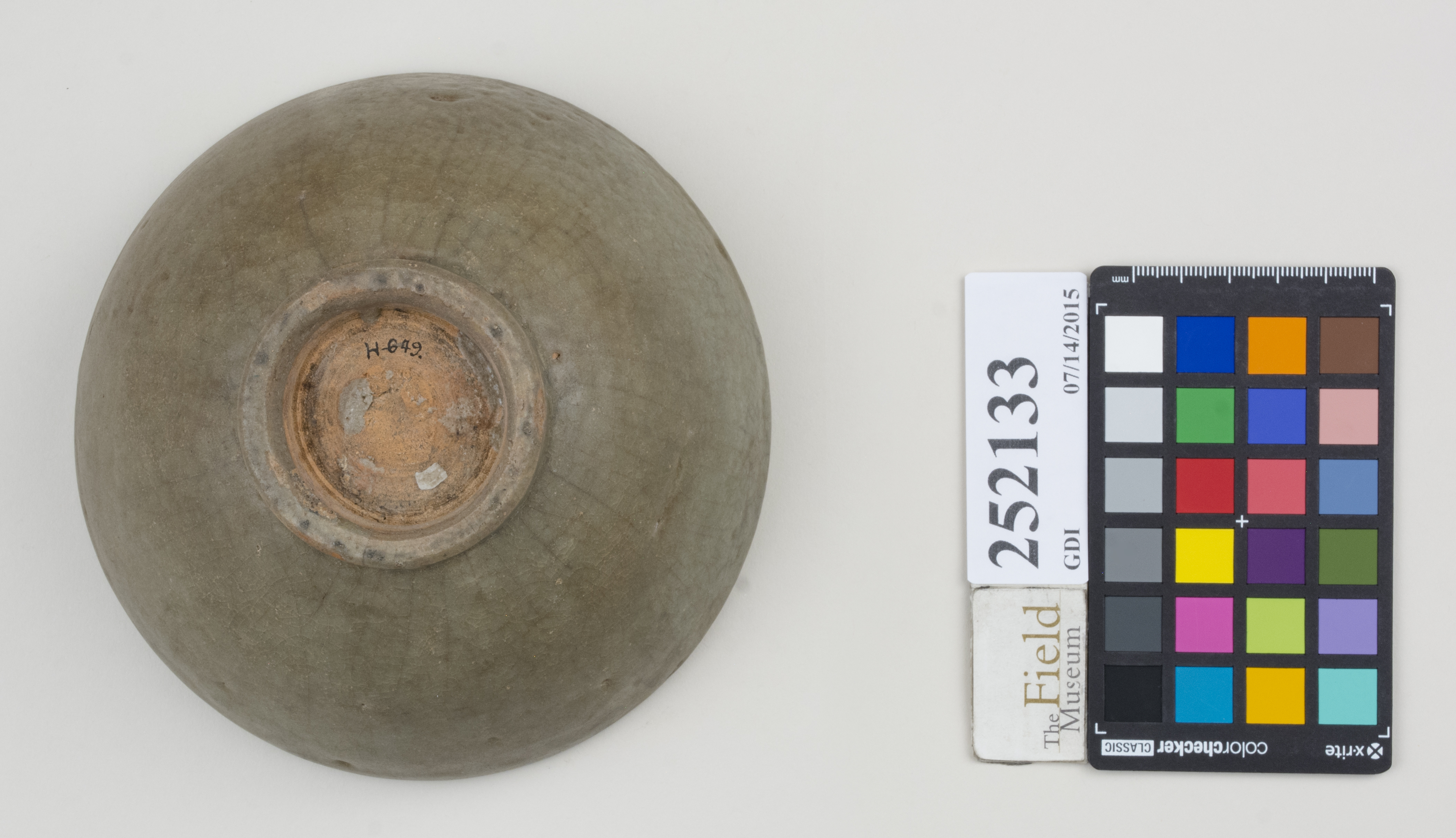 Bottom (c) Field Museum of Natural History - CC BY-NC 4.0