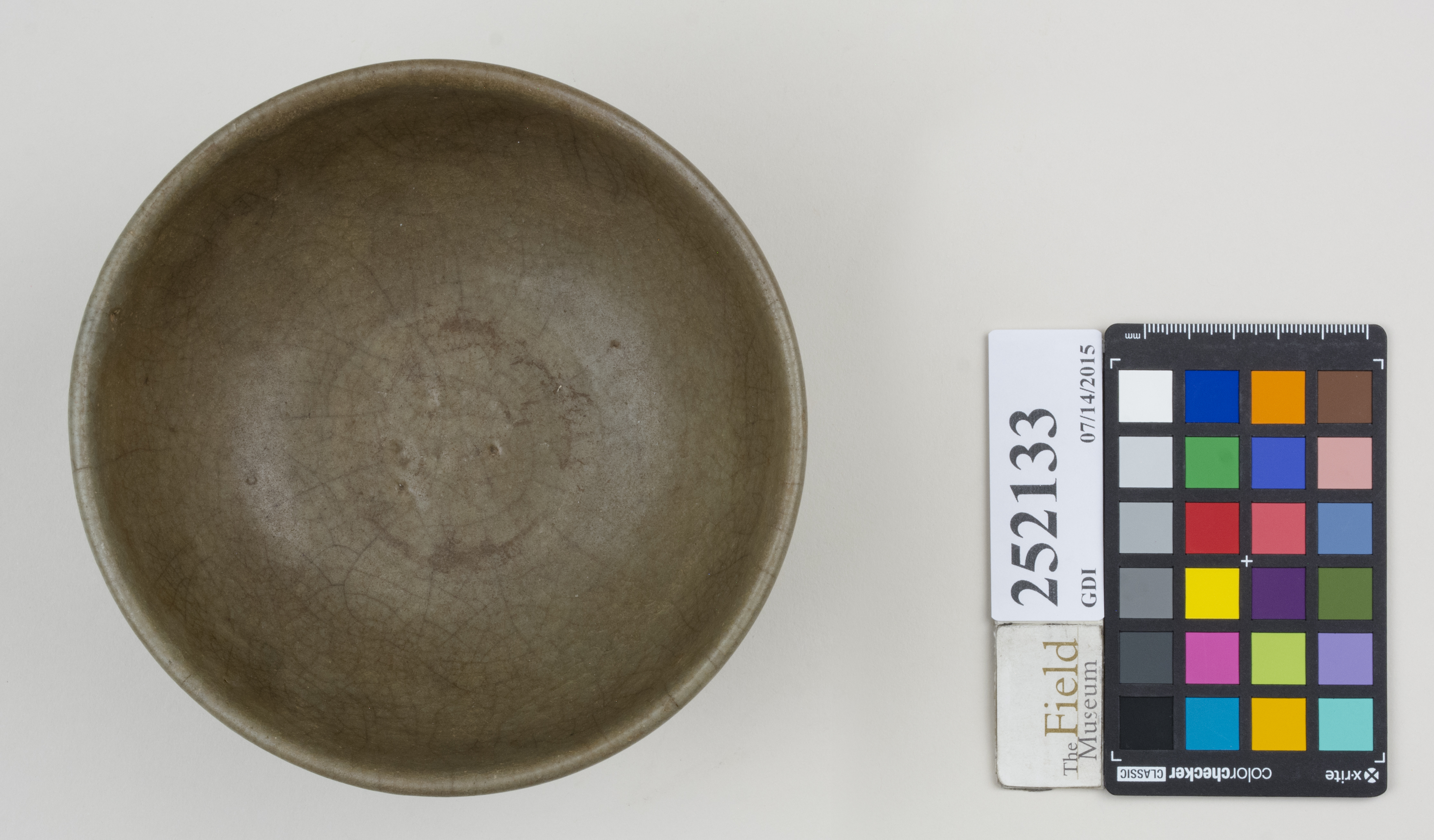 Top (c) Field Museum of Natural History - CC BY-NC 4.0