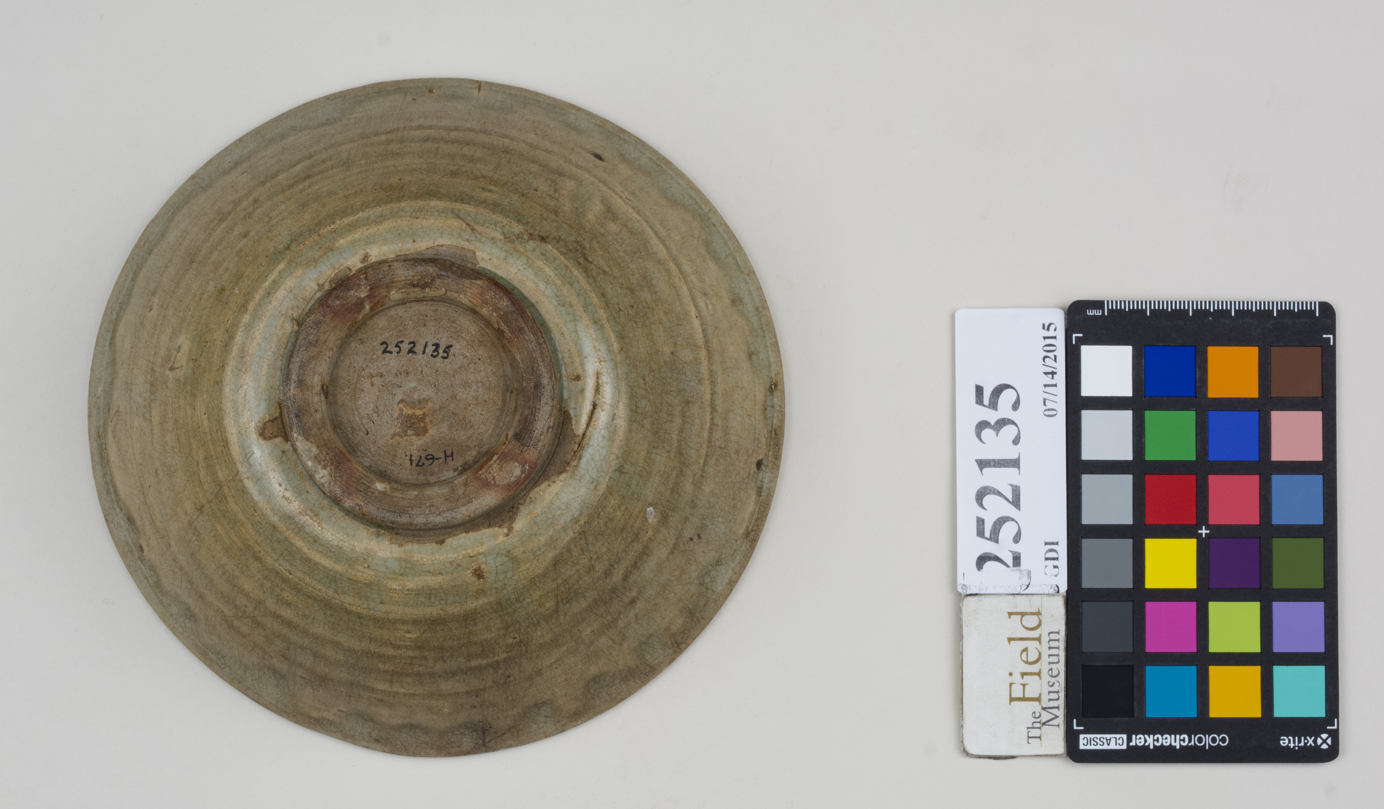 Bottom (c) Field Museum of Natural History - CC BY-NC 4.0