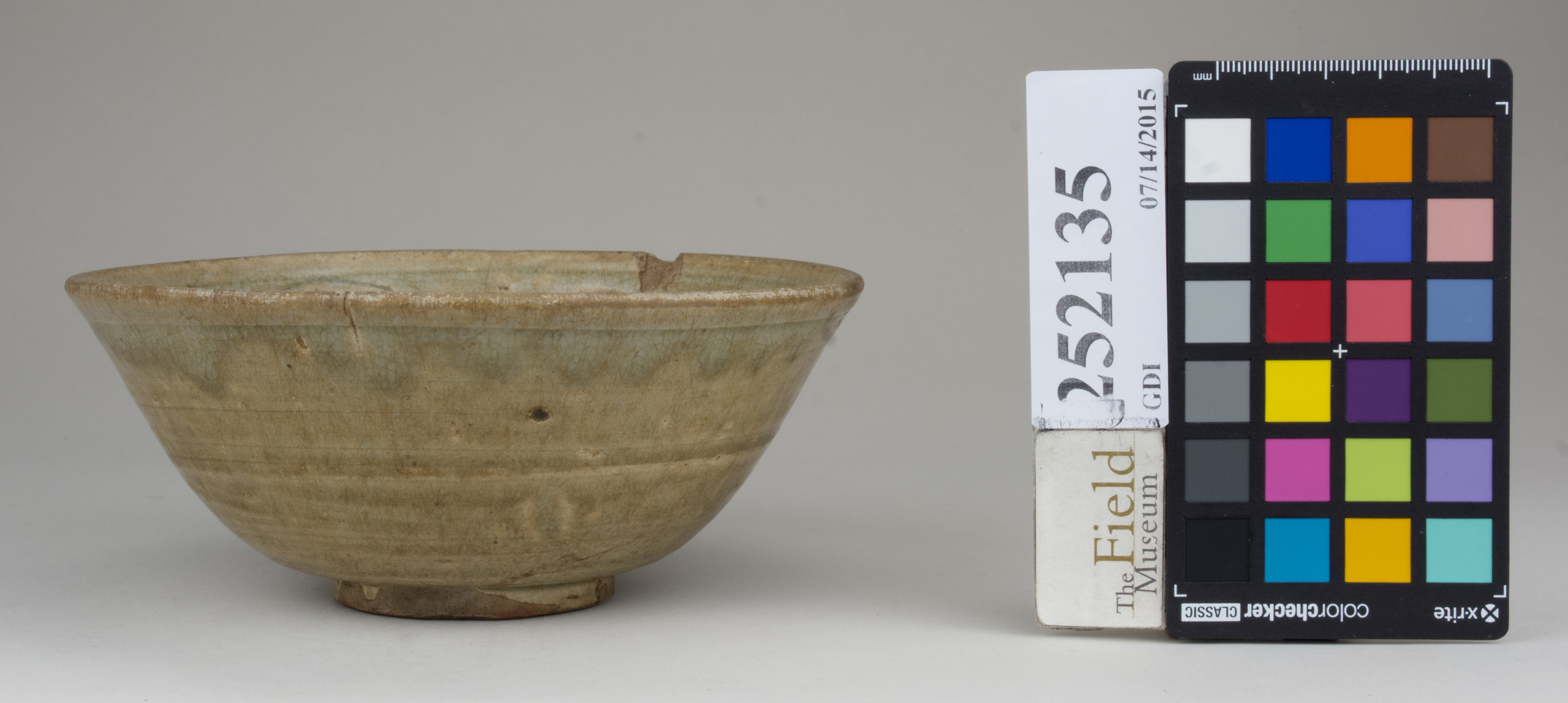 Front (c) Field Museum of Natural History - CC BY-NC 4.0