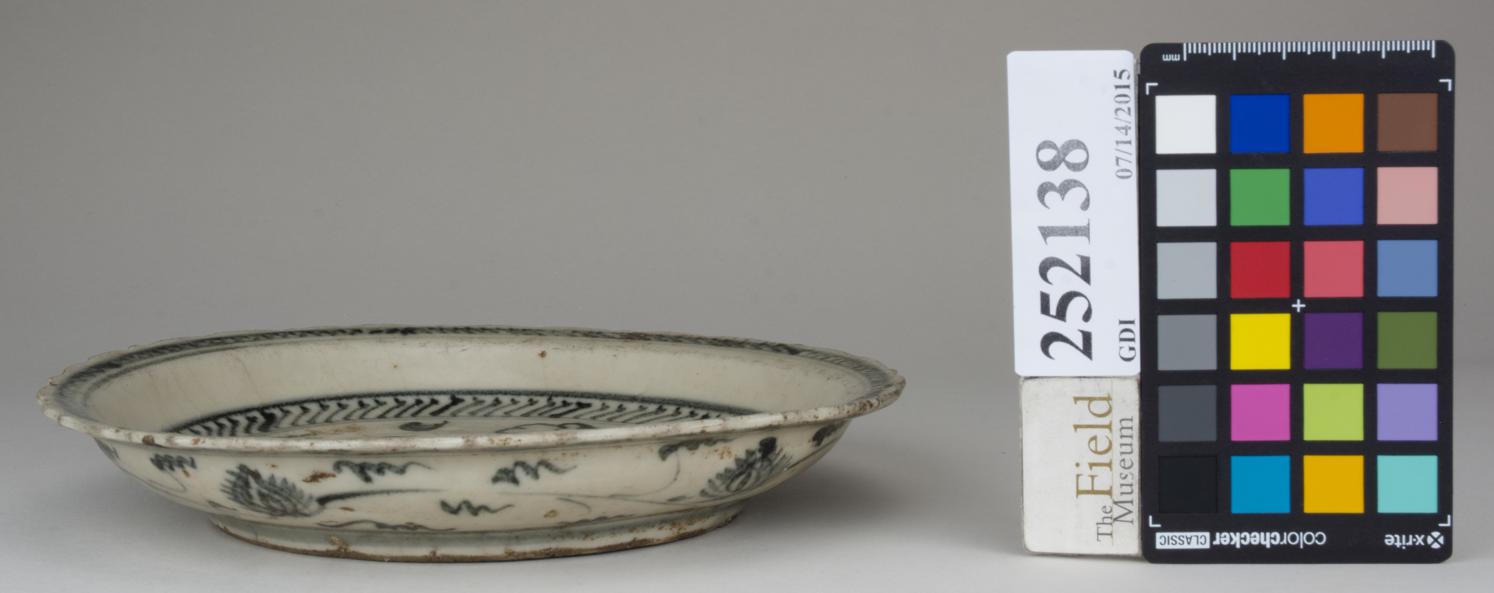 reference image, back (c) Field Museum of Natural History - CC BY-NC 4.0