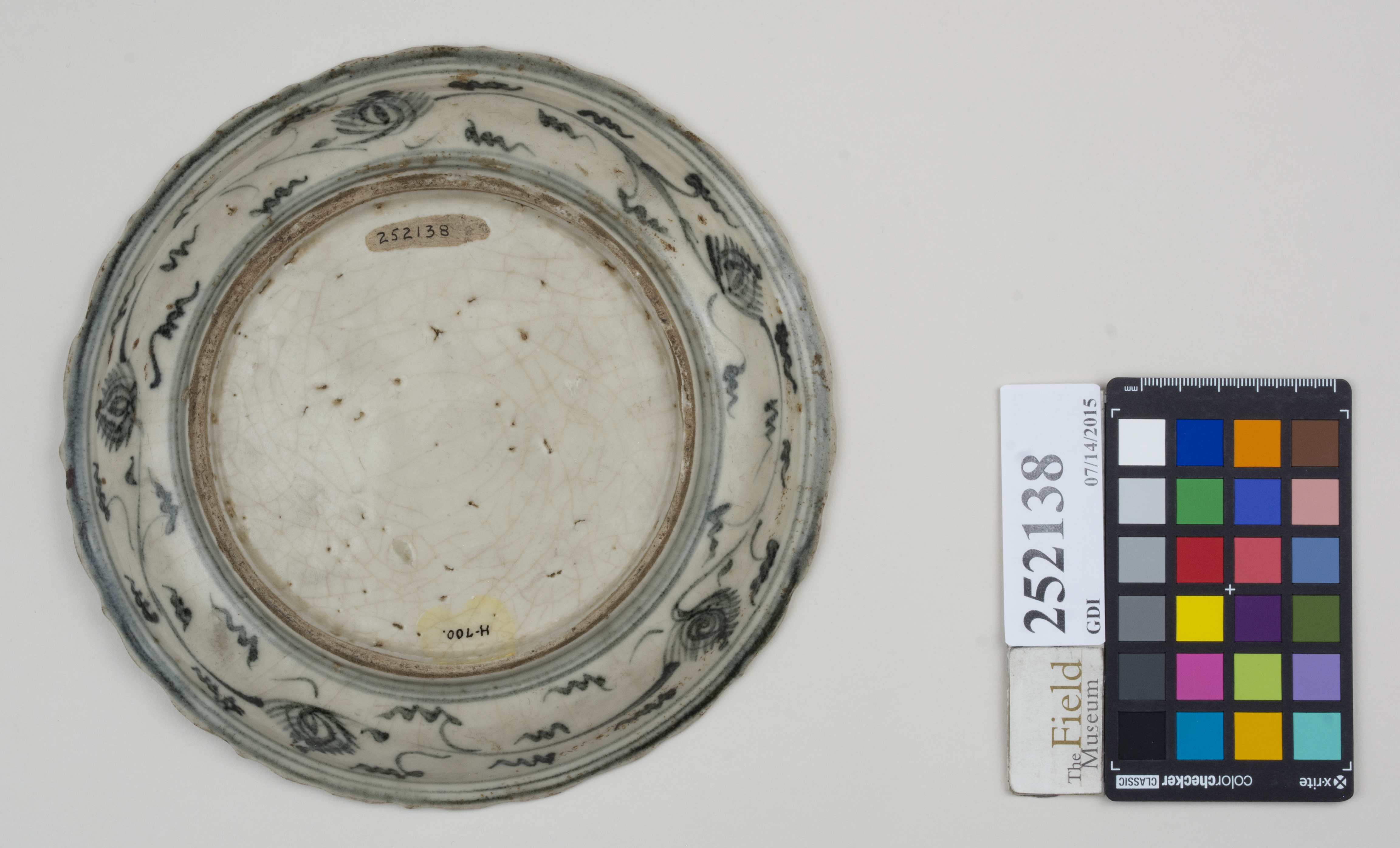 Bottom (c) Field Museum of Natural History - CC BY-NC 4.0