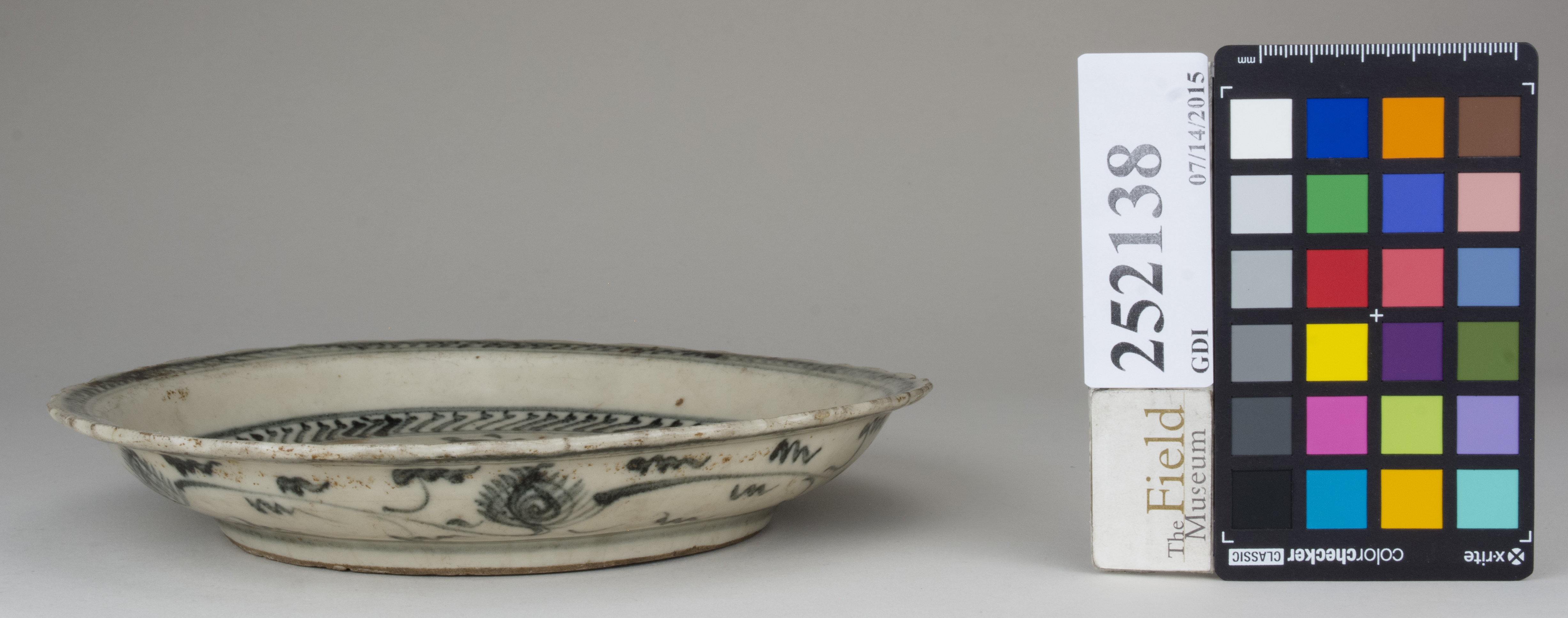 Front (c) Field Museum of Natural History - CC BY-NC 4.0