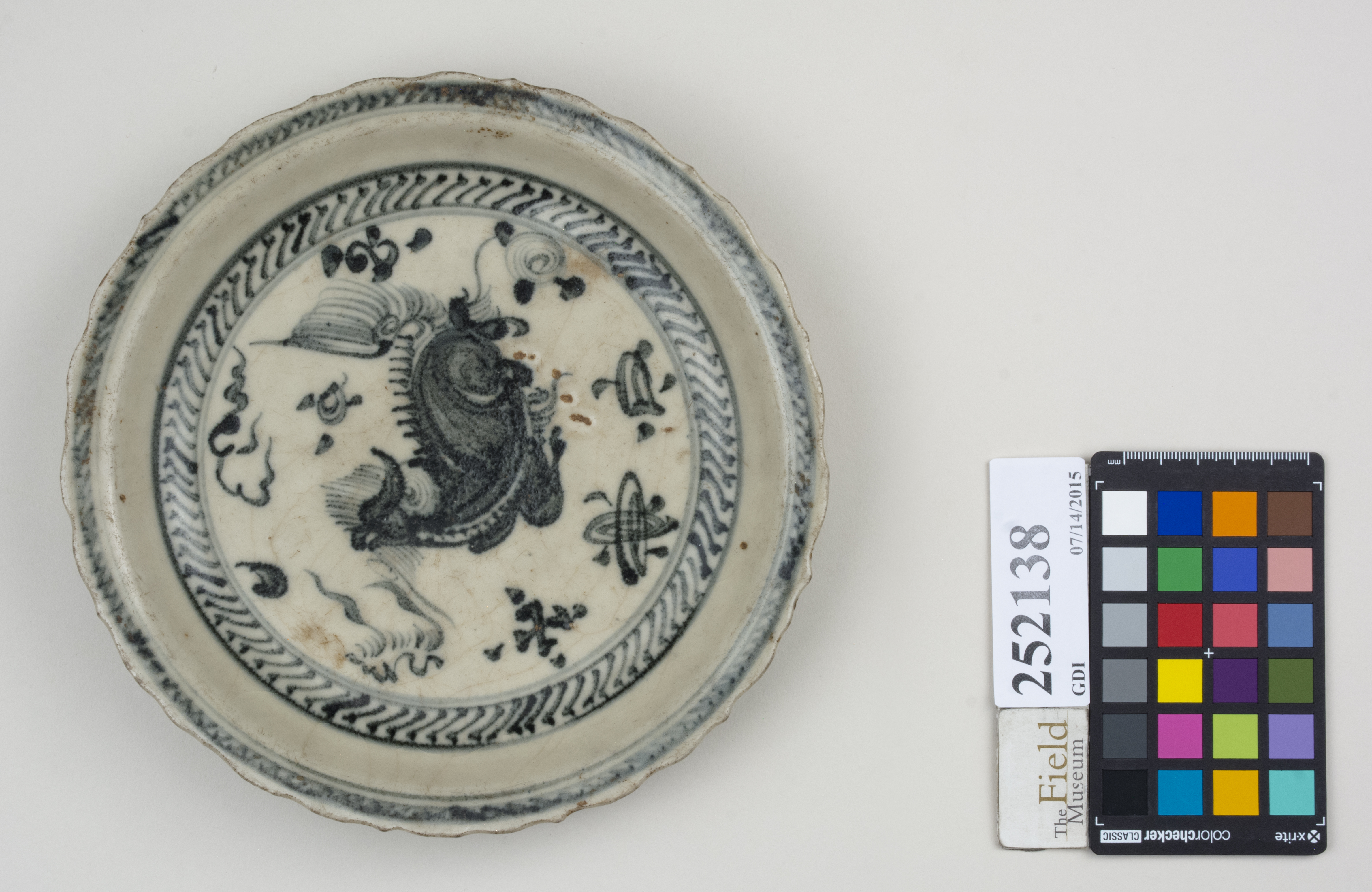 Top (c) Field Museum of Natural History - CC BY-NC 4.0