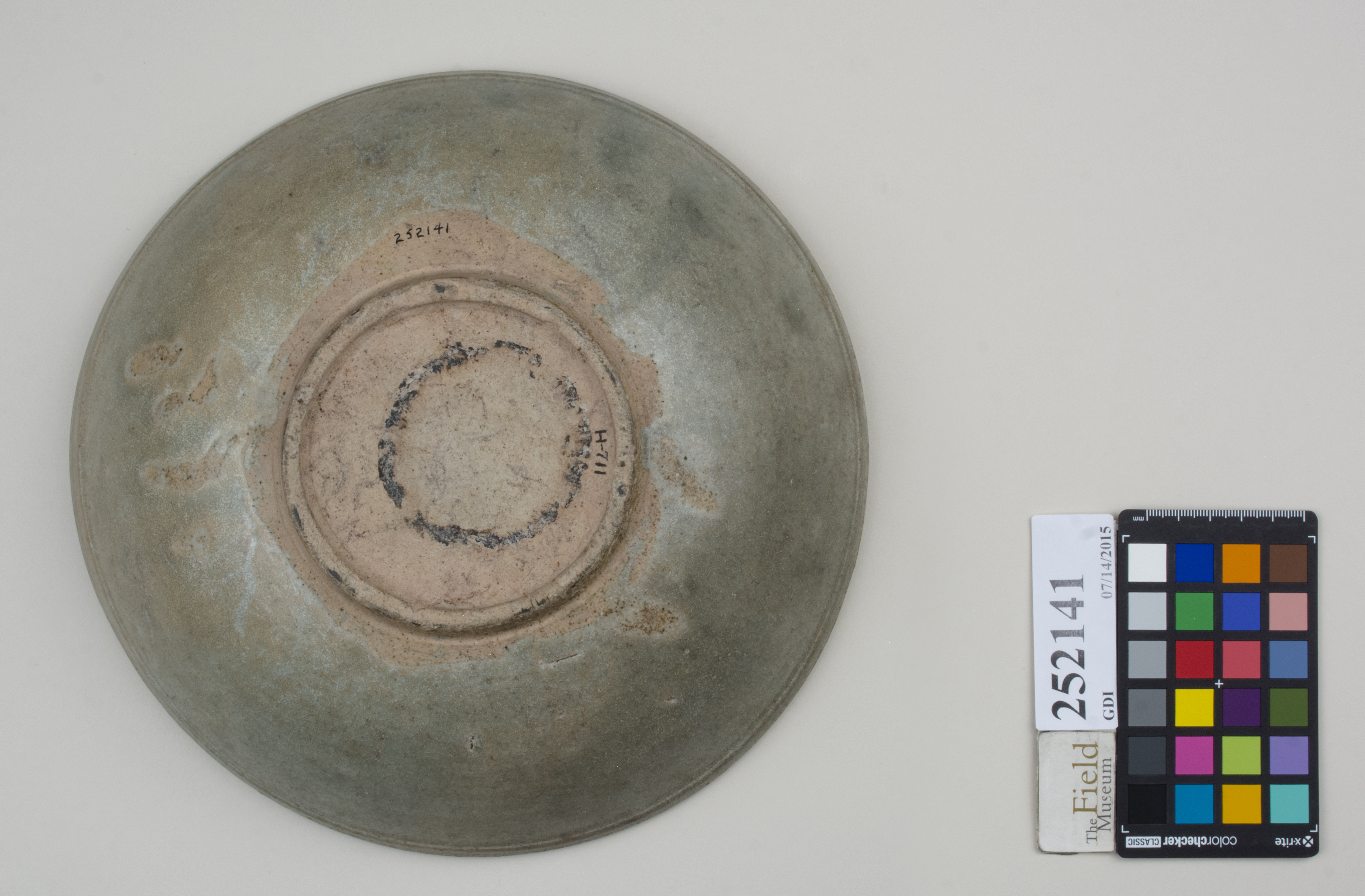 Bottom (c) Field Museum of Natural History - CC BY-NC 4.0