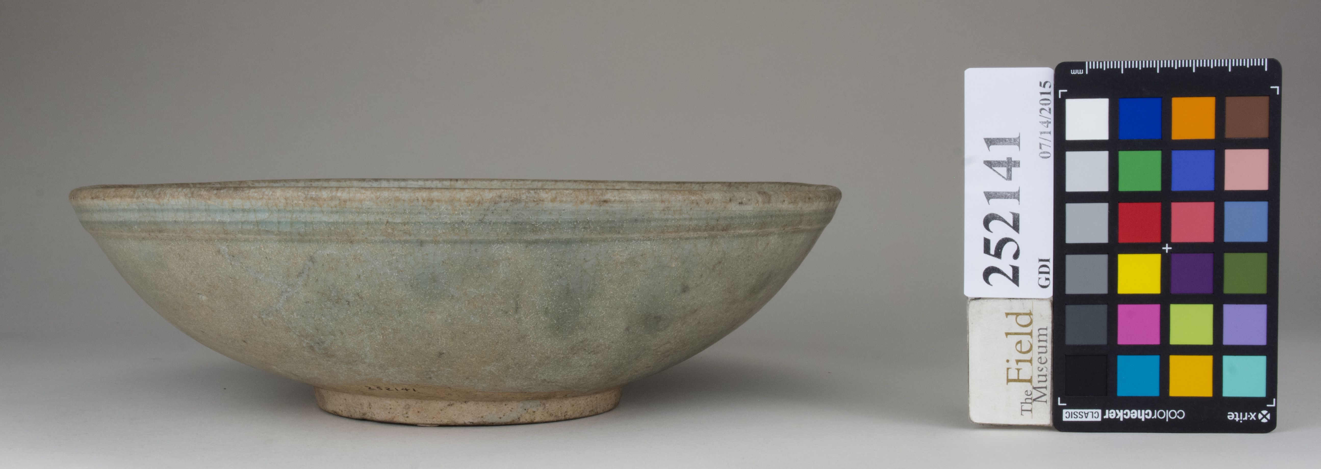 Front (c) Field Museum of Natural History - CC BY-NC 4.0