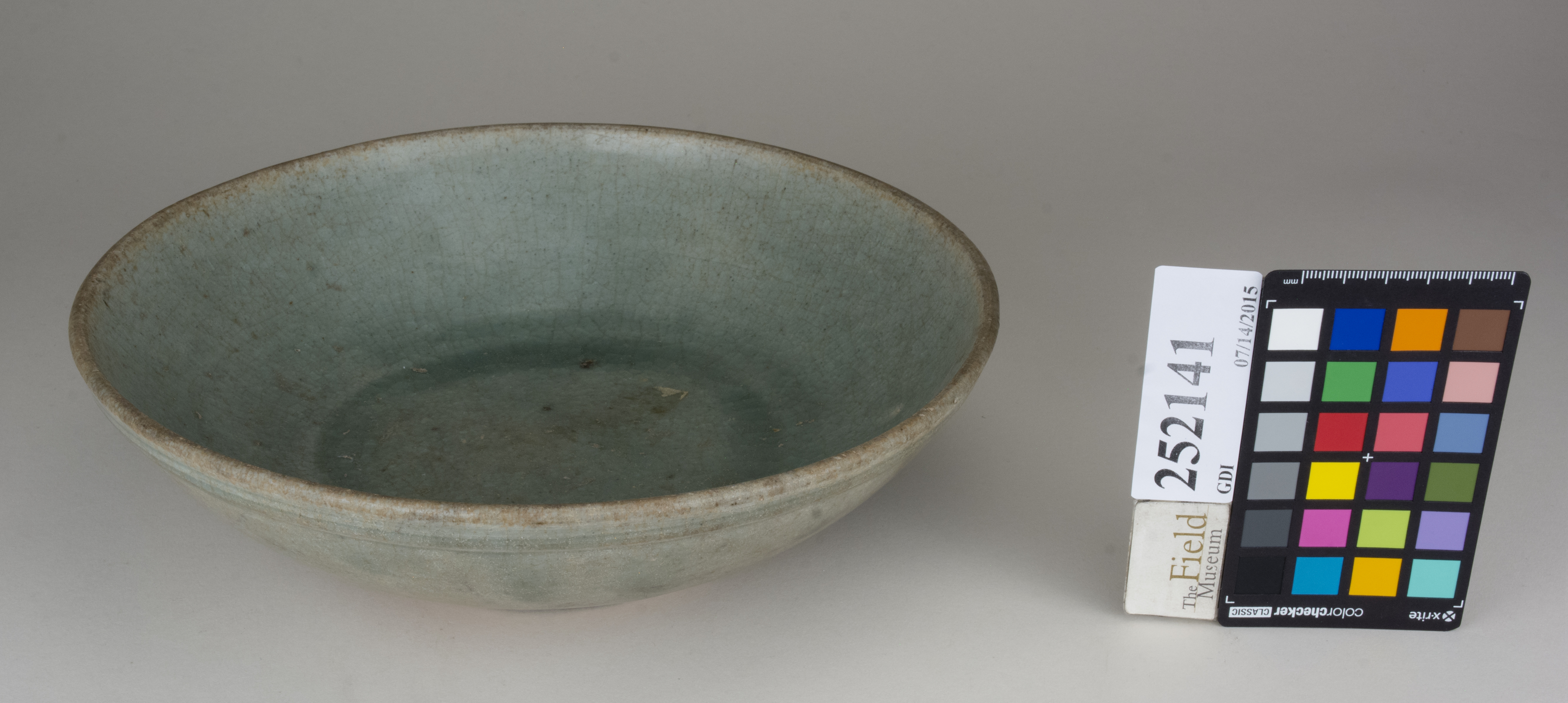 FrontAngle (c) Field Museum of Natural History - CC BY-NC 4.0