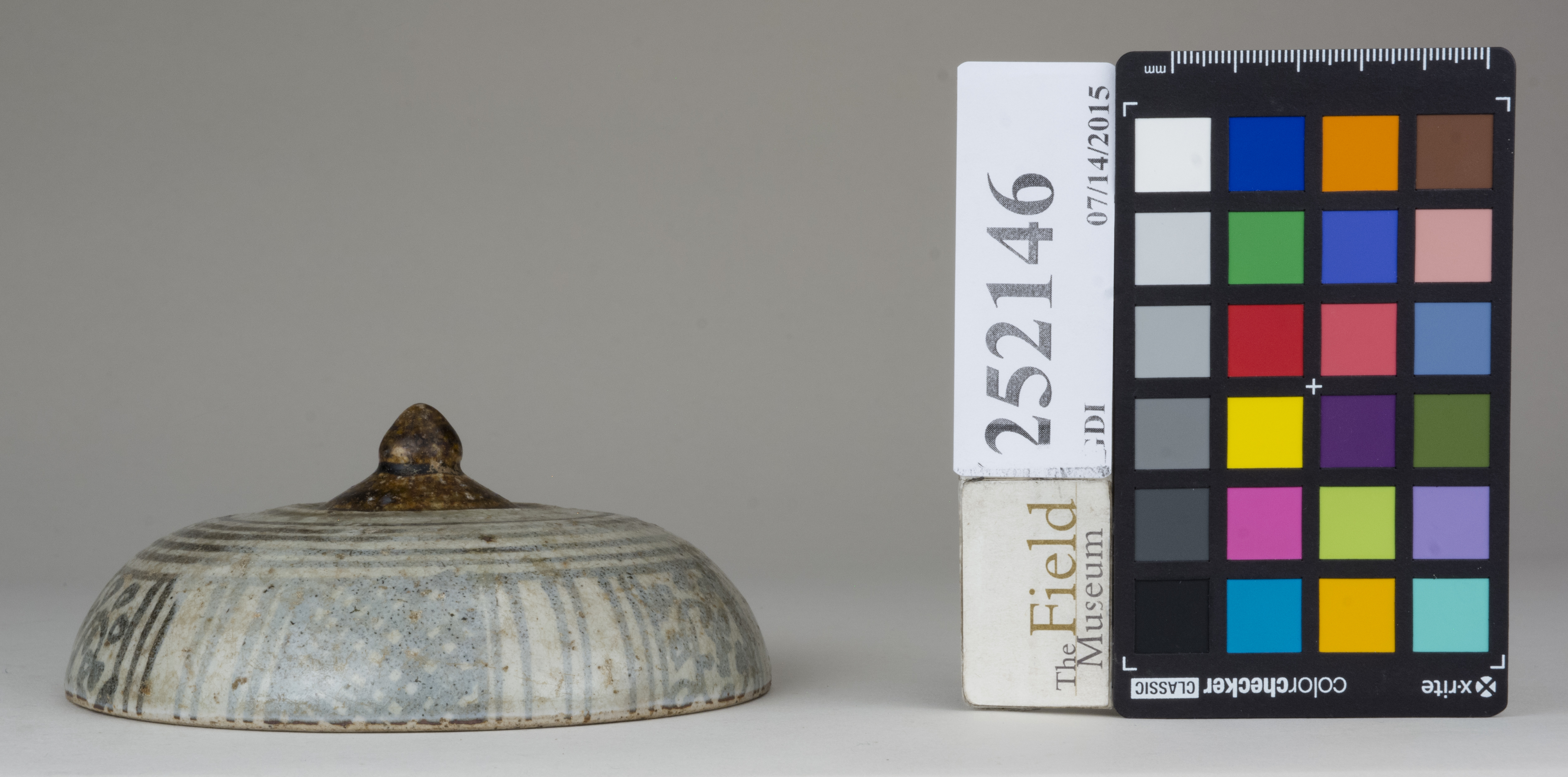 reference image, back (c) Field Museum of Natural History - CC BY-NC 4.0