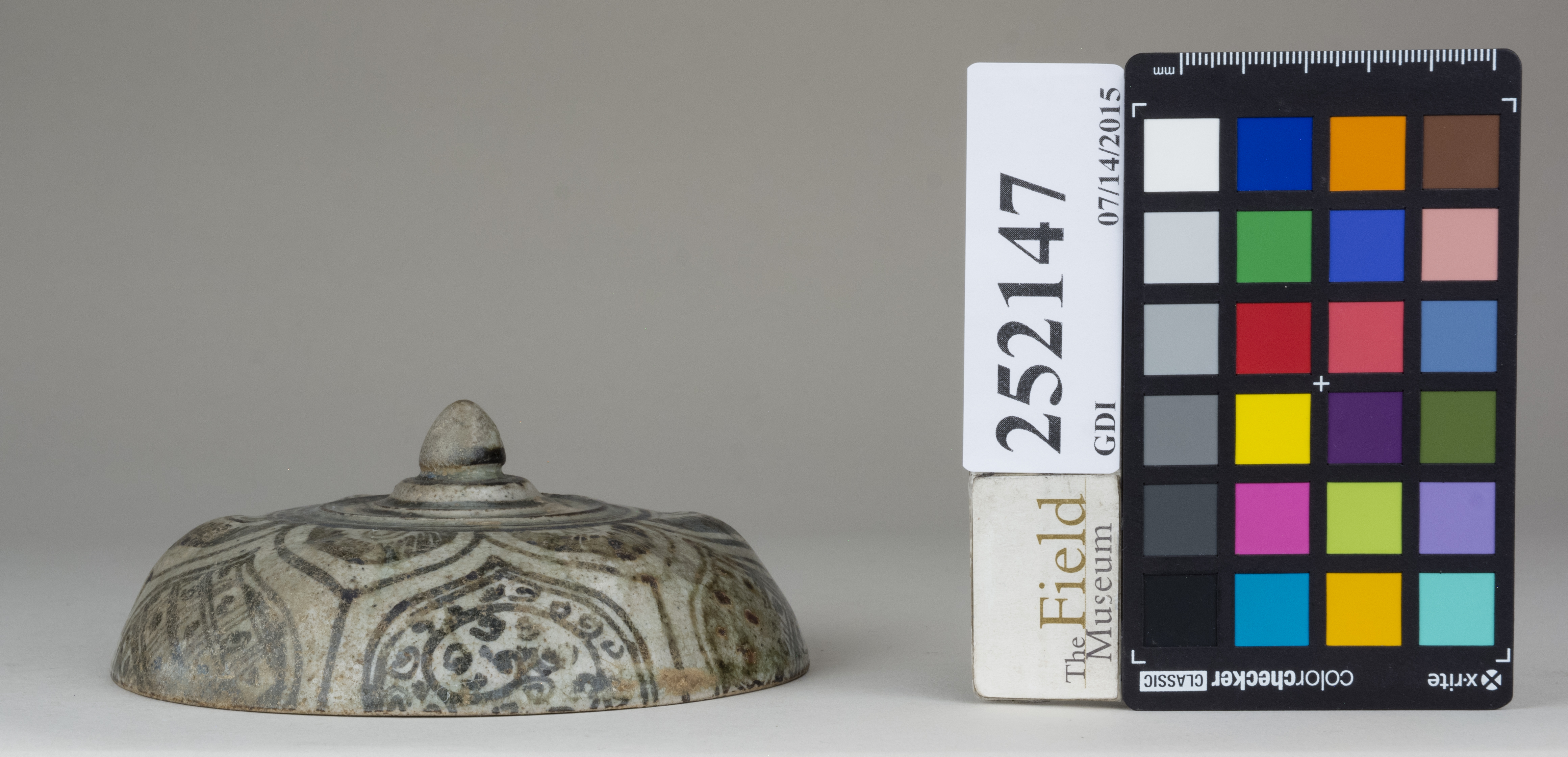 reference image, back (c) Field Museum of Natural History - CC BY-NC 4.0