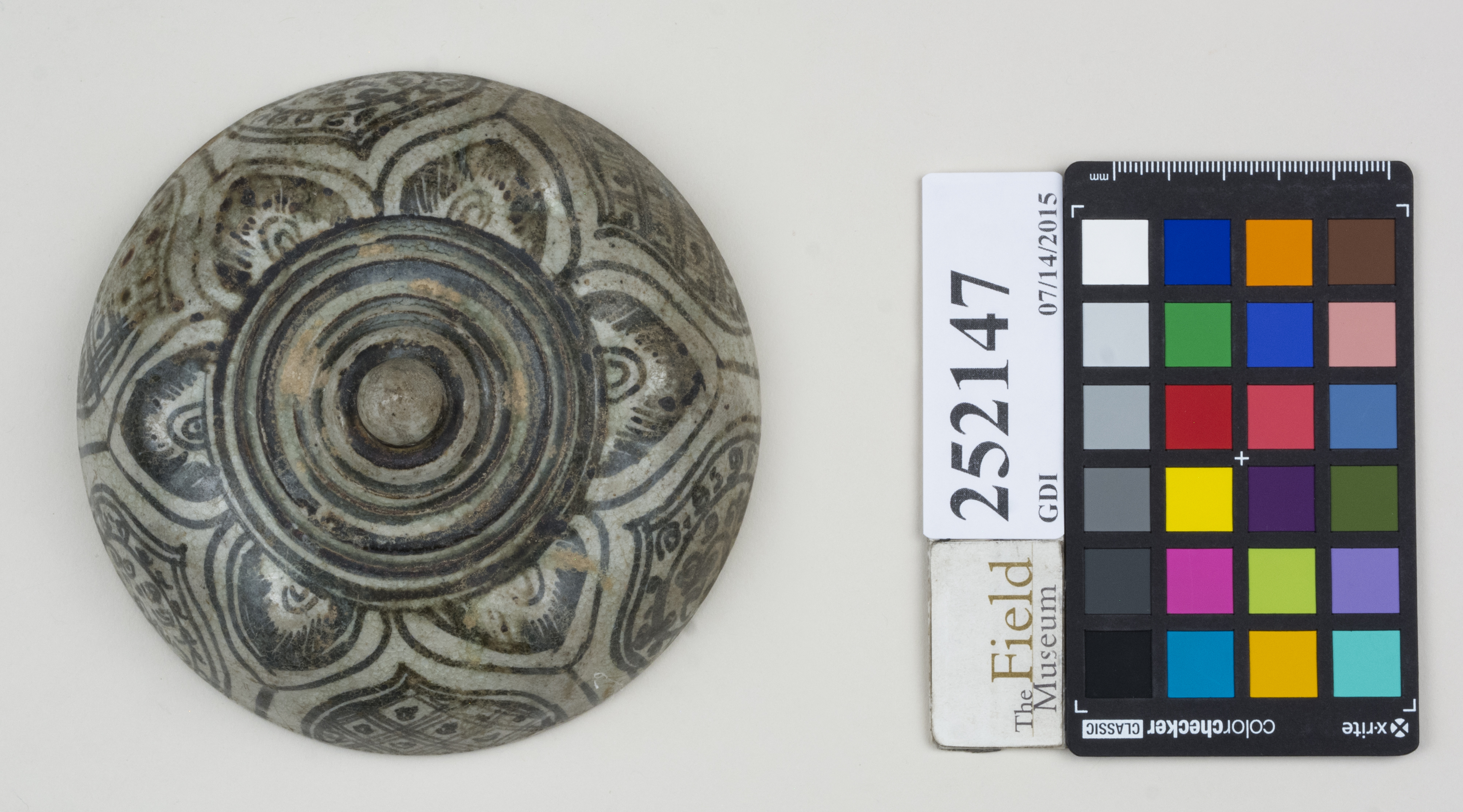 Top (c) Field Museum of Natural History - CC BY-NC 4.0