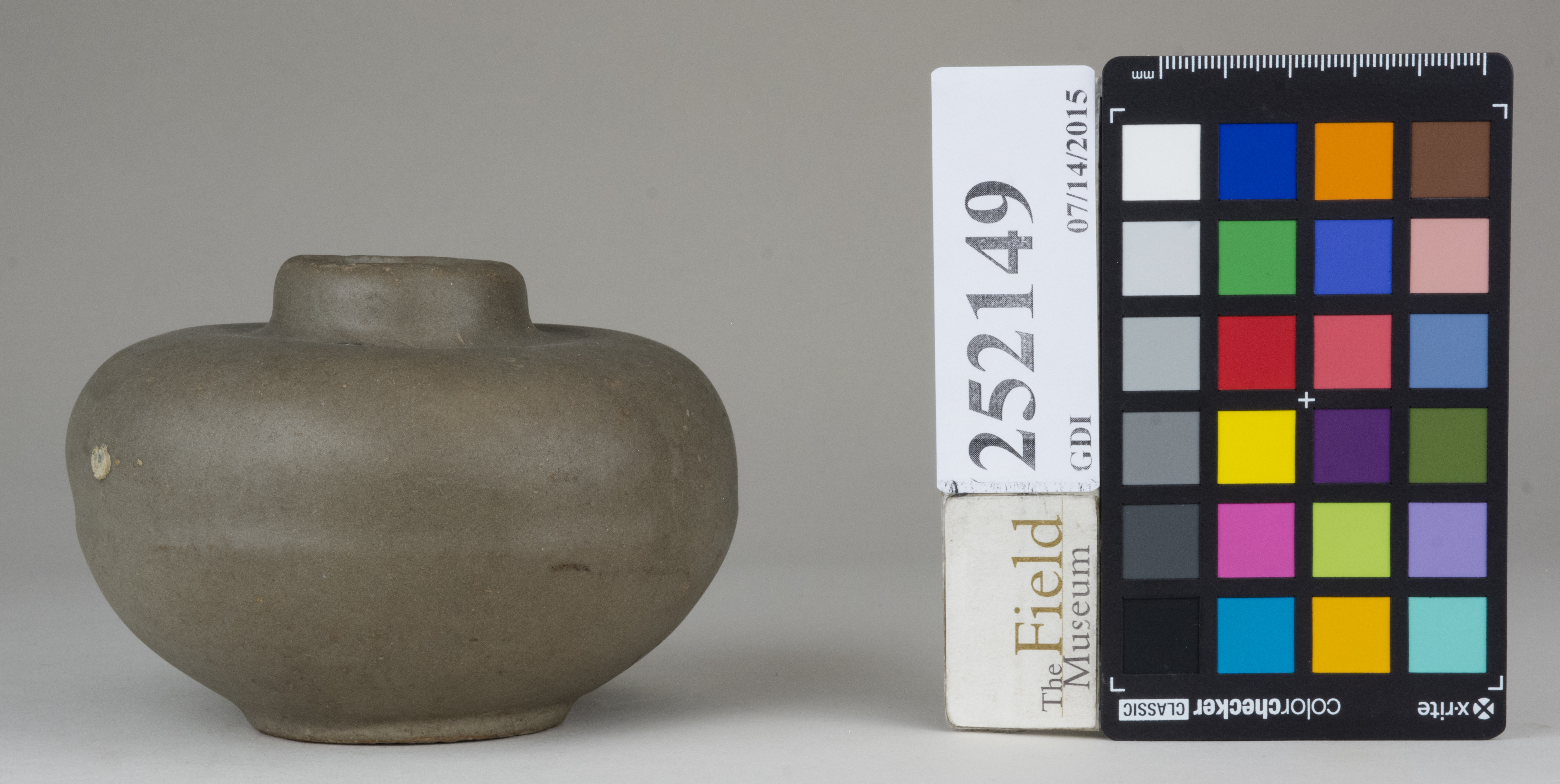 Front (c) Field Museum of Natural History - CC BY-NC 4.0