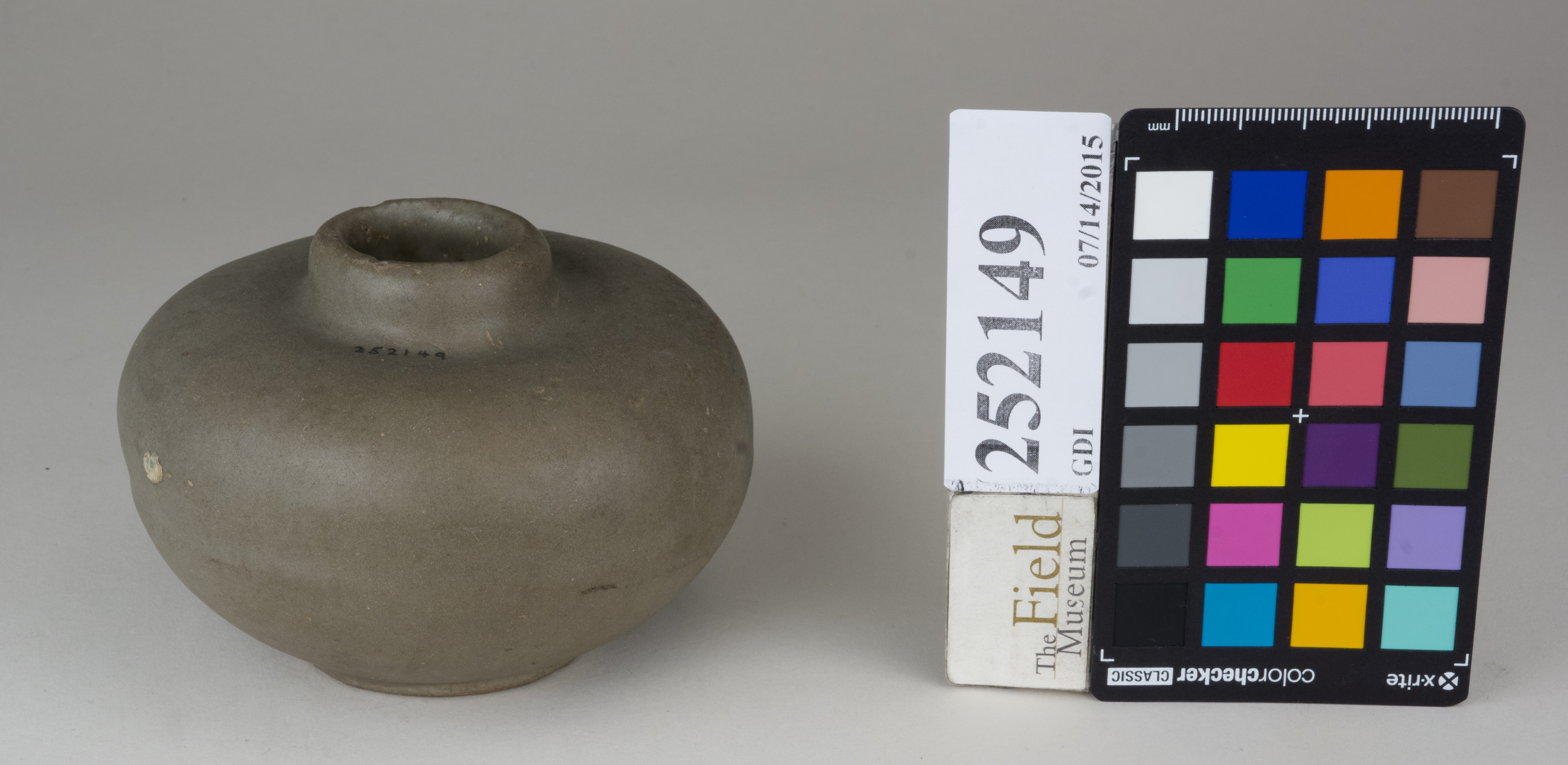 FrontAngle (c) Field Museum of Natural History - CC BY-NC 4.0