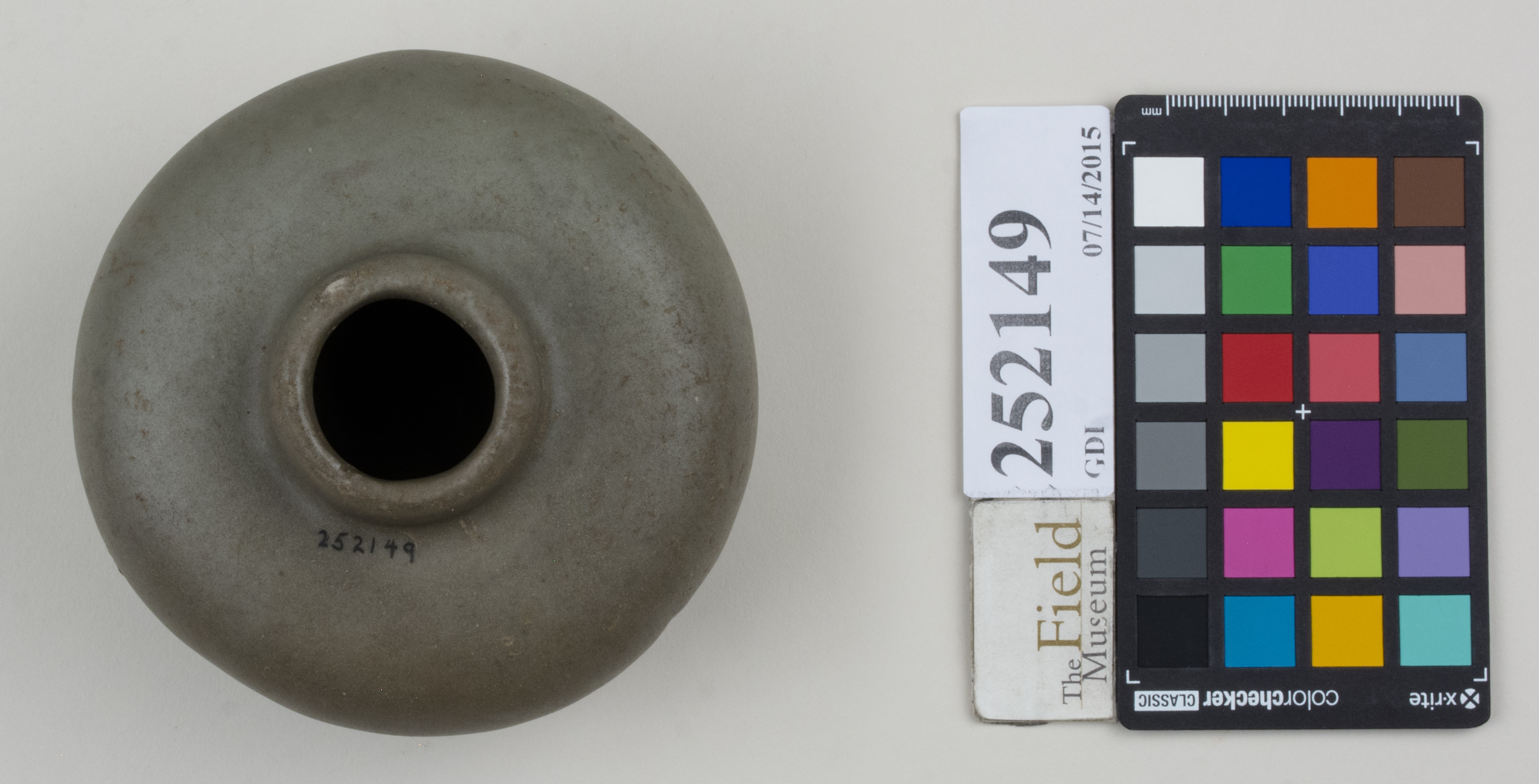 Top (c) Field Museum of Natural History - CC BY-NC 4.0