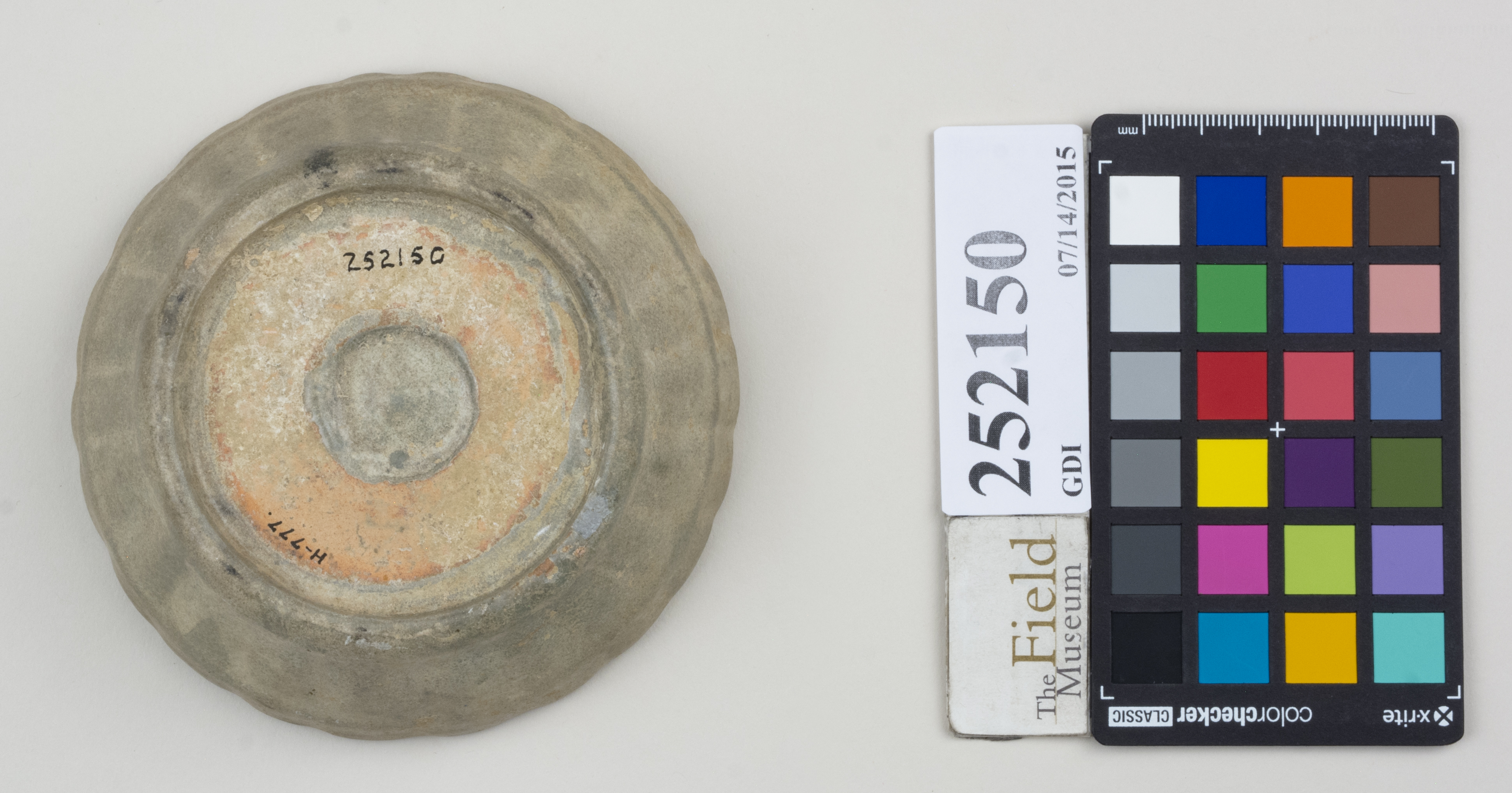 Bottom (c) Field Museum of Natural History - CC BY-NC 4.0