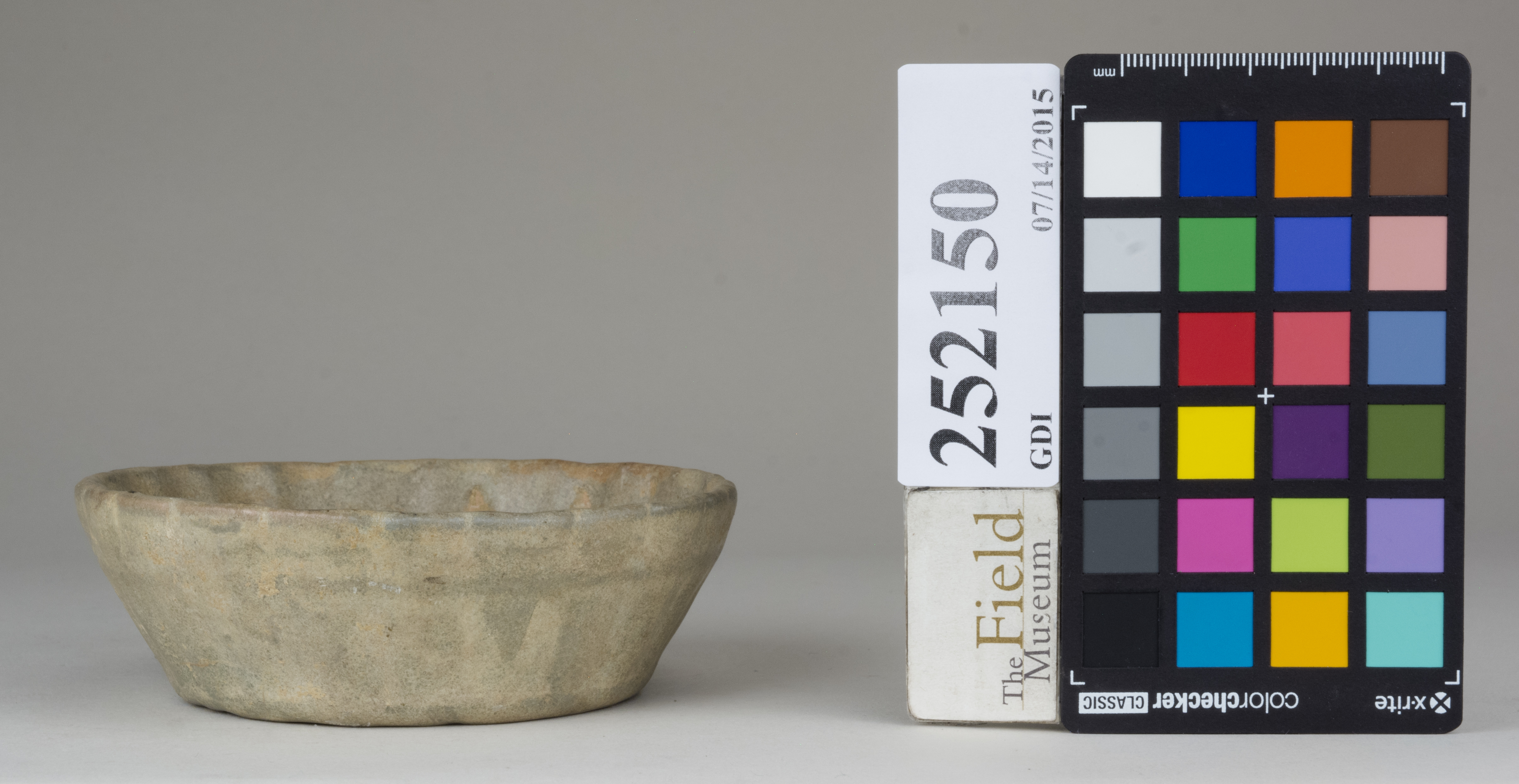 Front (c) Field Museum of Natural History - CC BY-NC 4.0