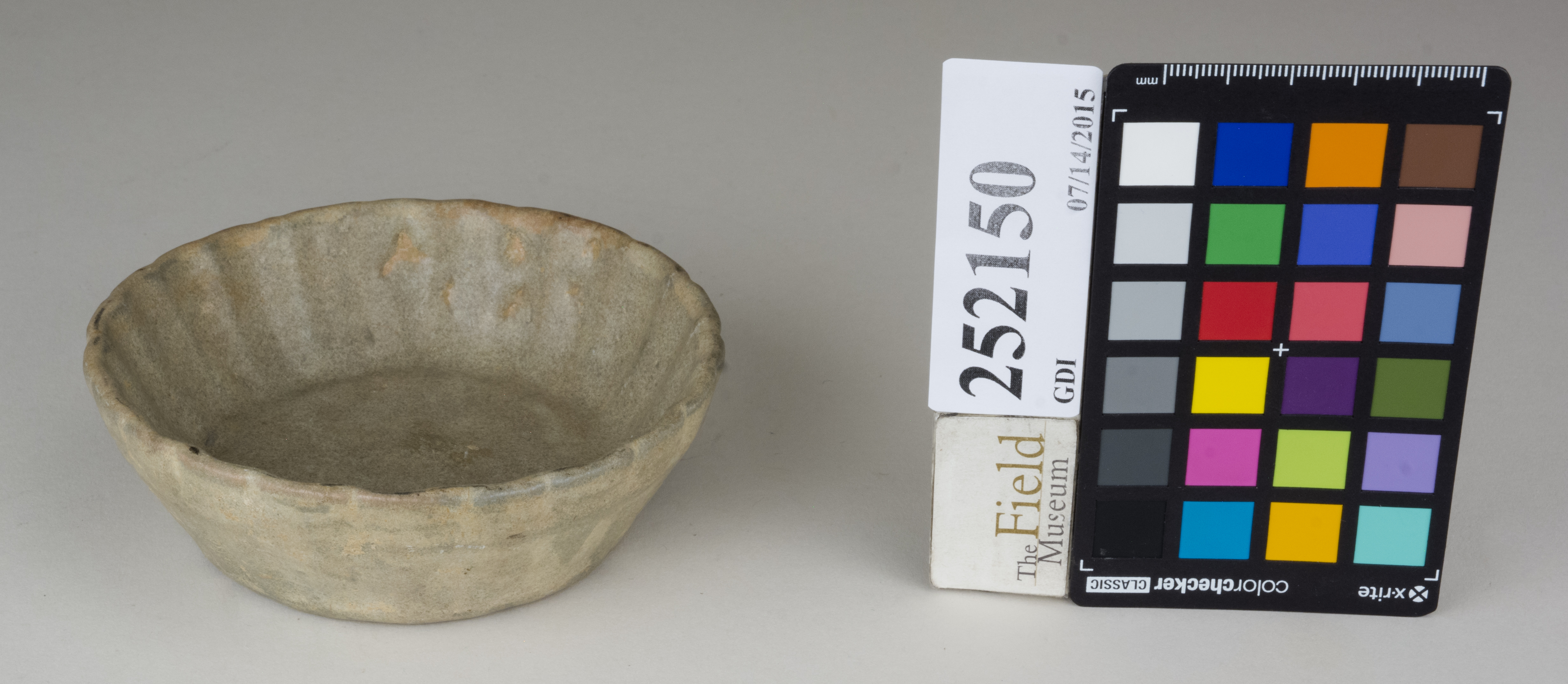 FrontAngle (c) Field Museum of Natural History - CC BY-NC 4.0