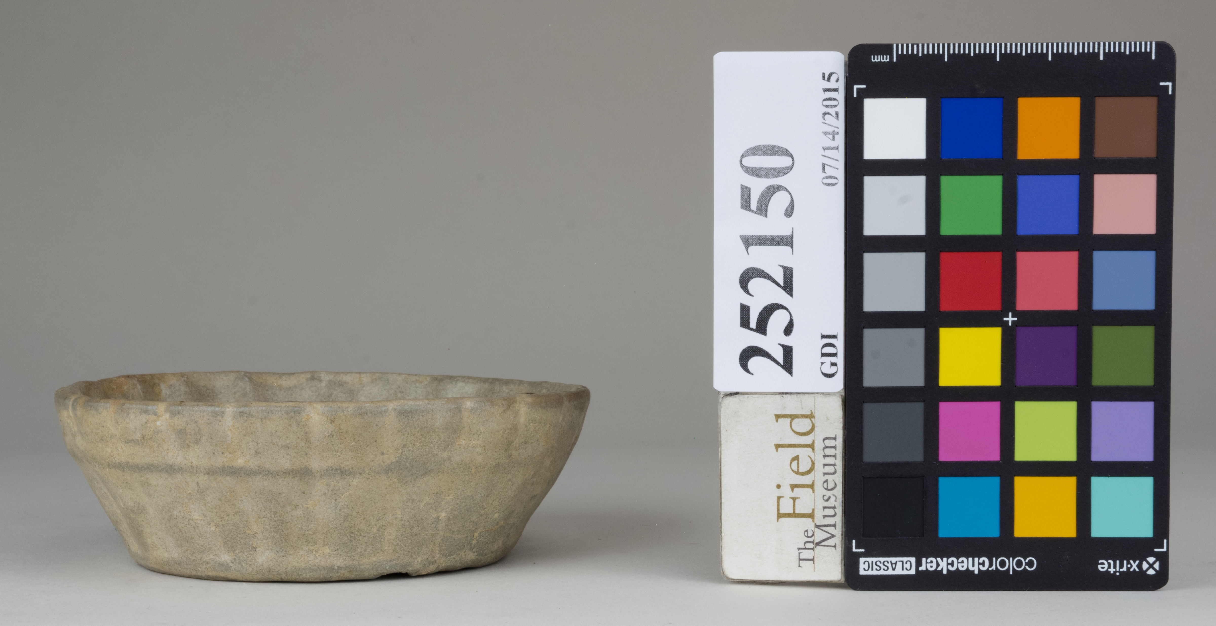 Right (c) Field Museum of Natural History - CC BY-NC 4.0