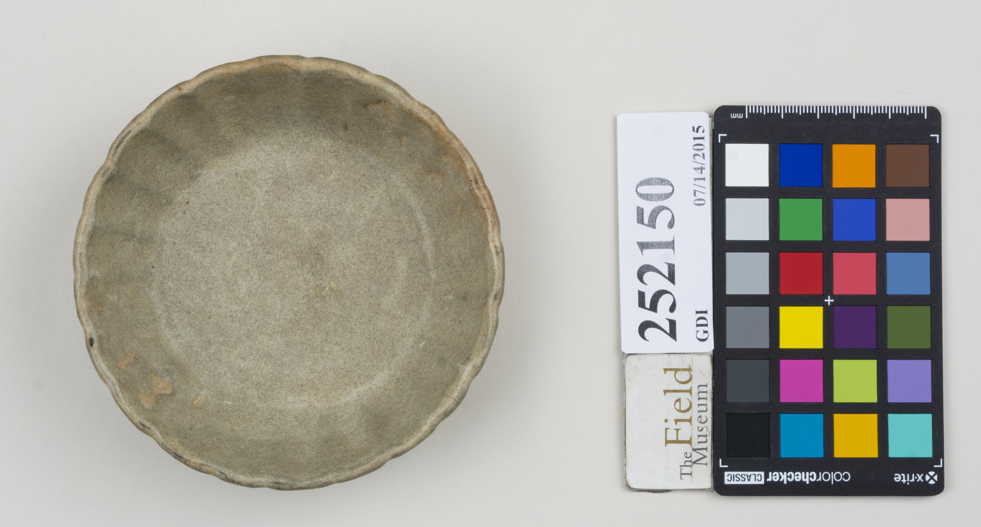 Top (c) Field Museum of Natural History - CC BY-NC 4.0