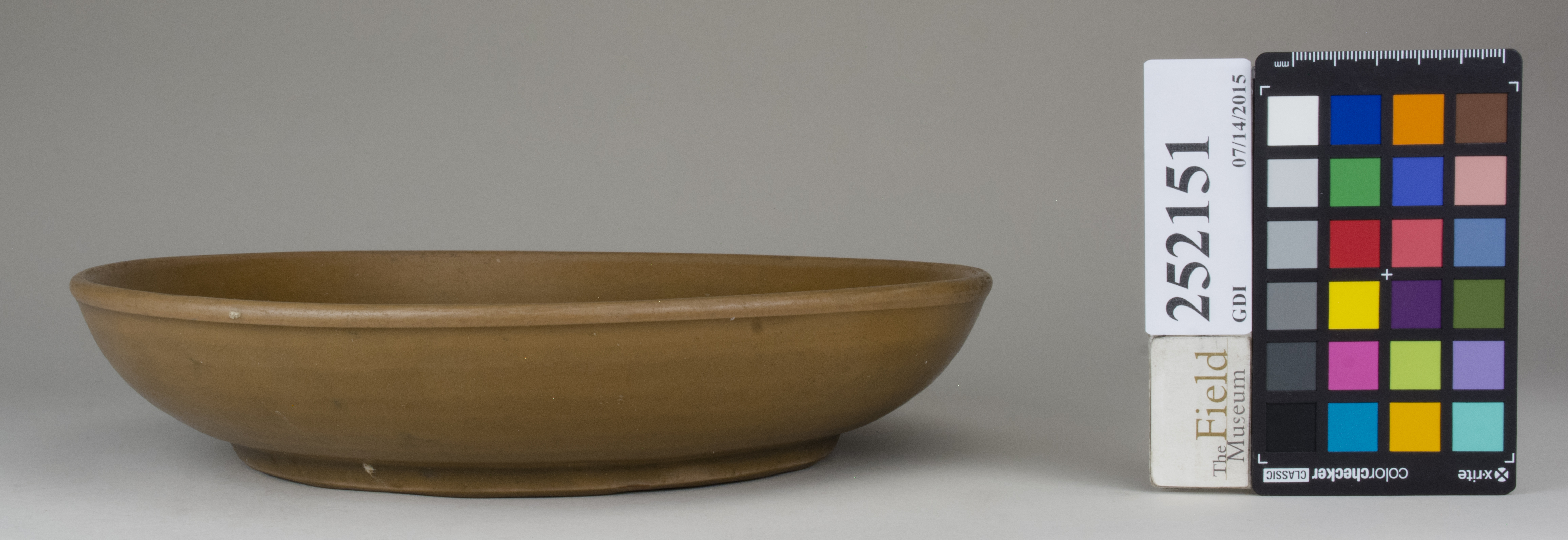 reference image, back (c) Field Museum of Natural History - CC BY-NC 4.0