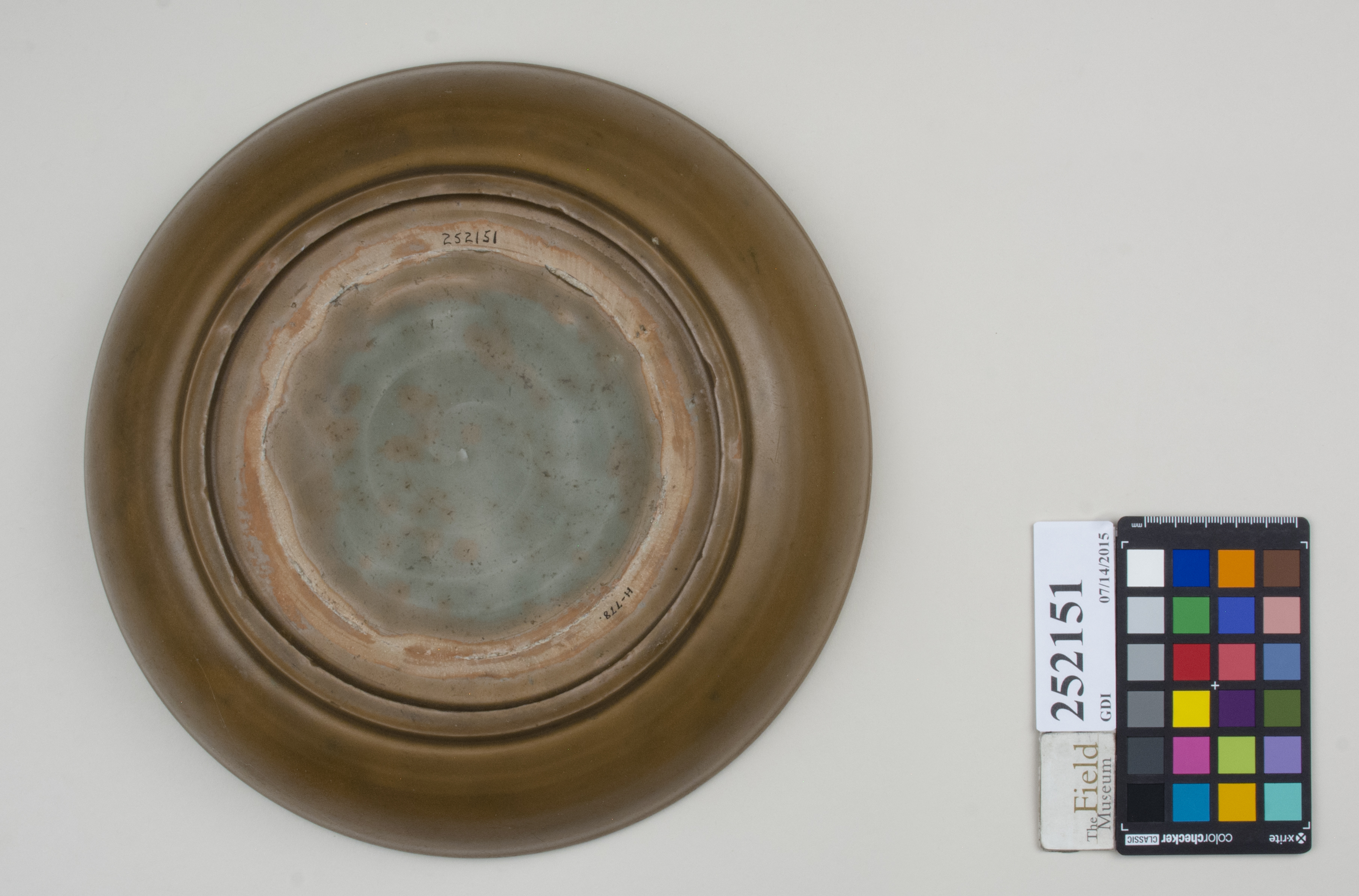 Bottom (c) Field Museum of Natural History - CC BY-NC 4.0